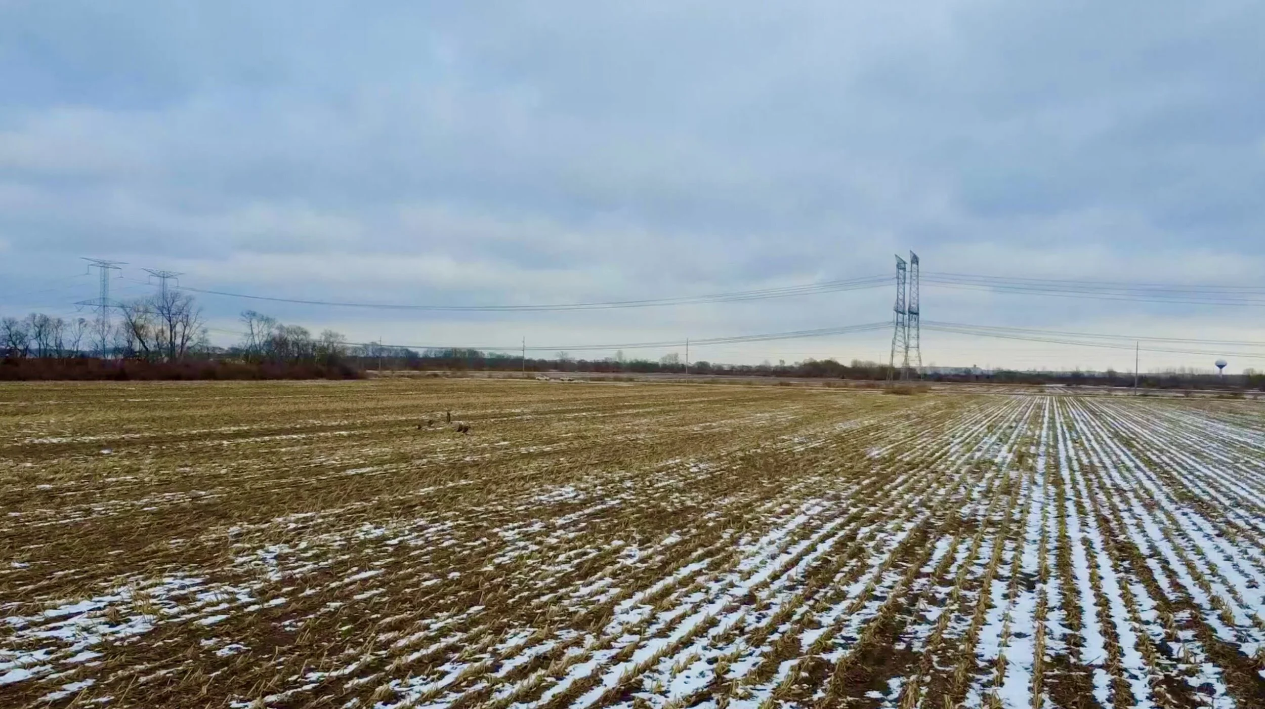 Land-for-Sale-LandCo-Farmland-for-Sale-2026-01-05-at-8.57.04-PM-1-scaled.jpeg