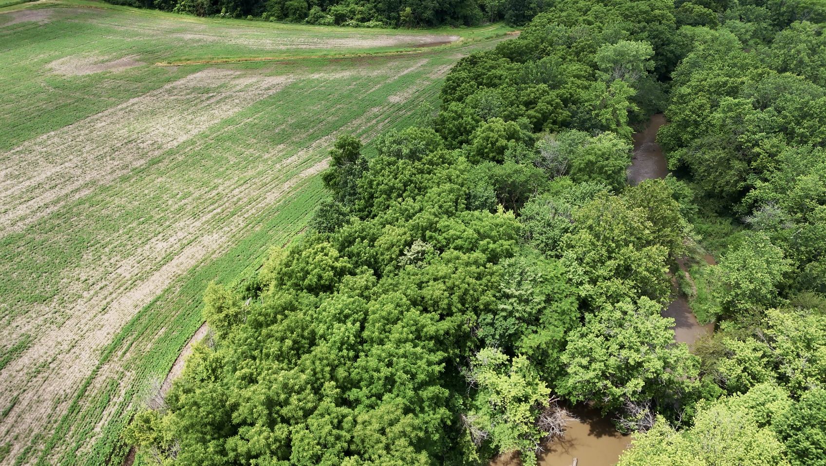 Land-for-Sale-LandCo-Farmland-for-Sale-2025-07-13-at-8.32.52-PM.png