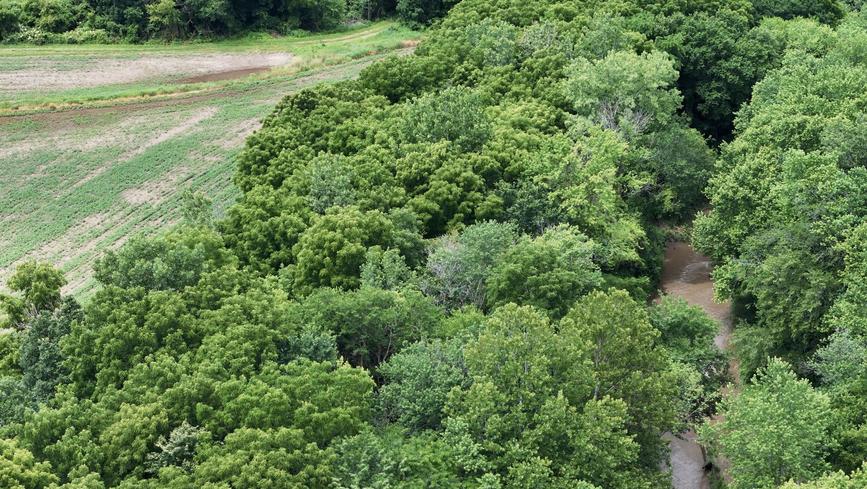 Land-for-Sale-LandCo-Farmland-for-Sale-2025-07-13-at-8.32.58-PM.png