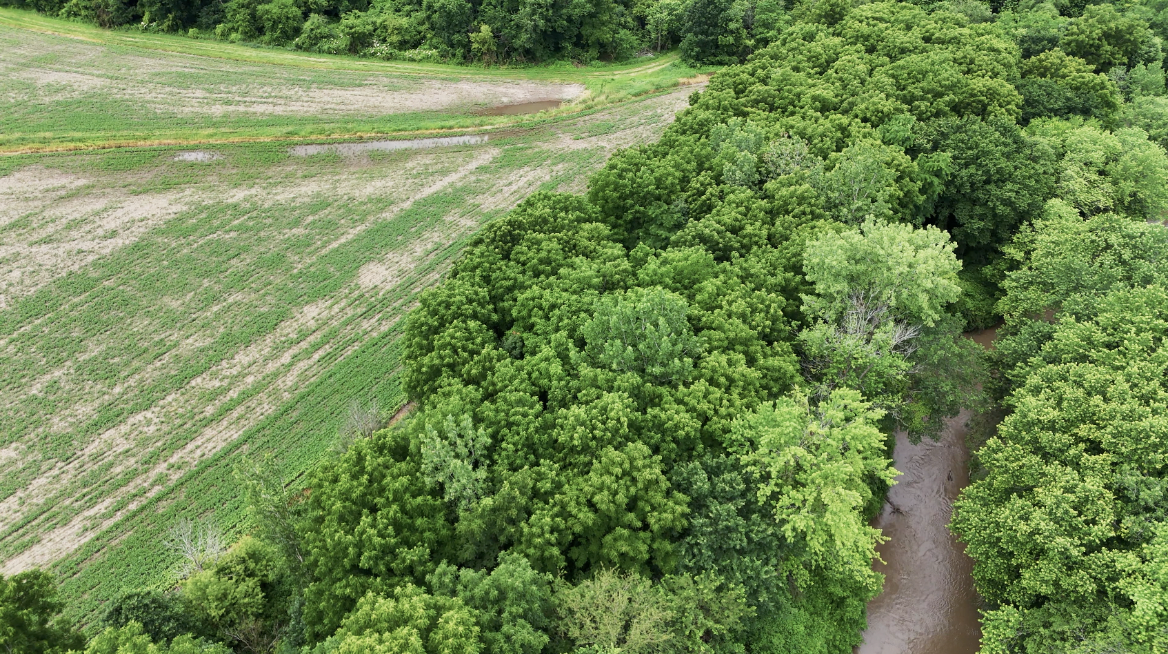 Land-for-Sale-LandCo-Farmland-for-Sale-2025-07-13-at-8.33.46-PM.png