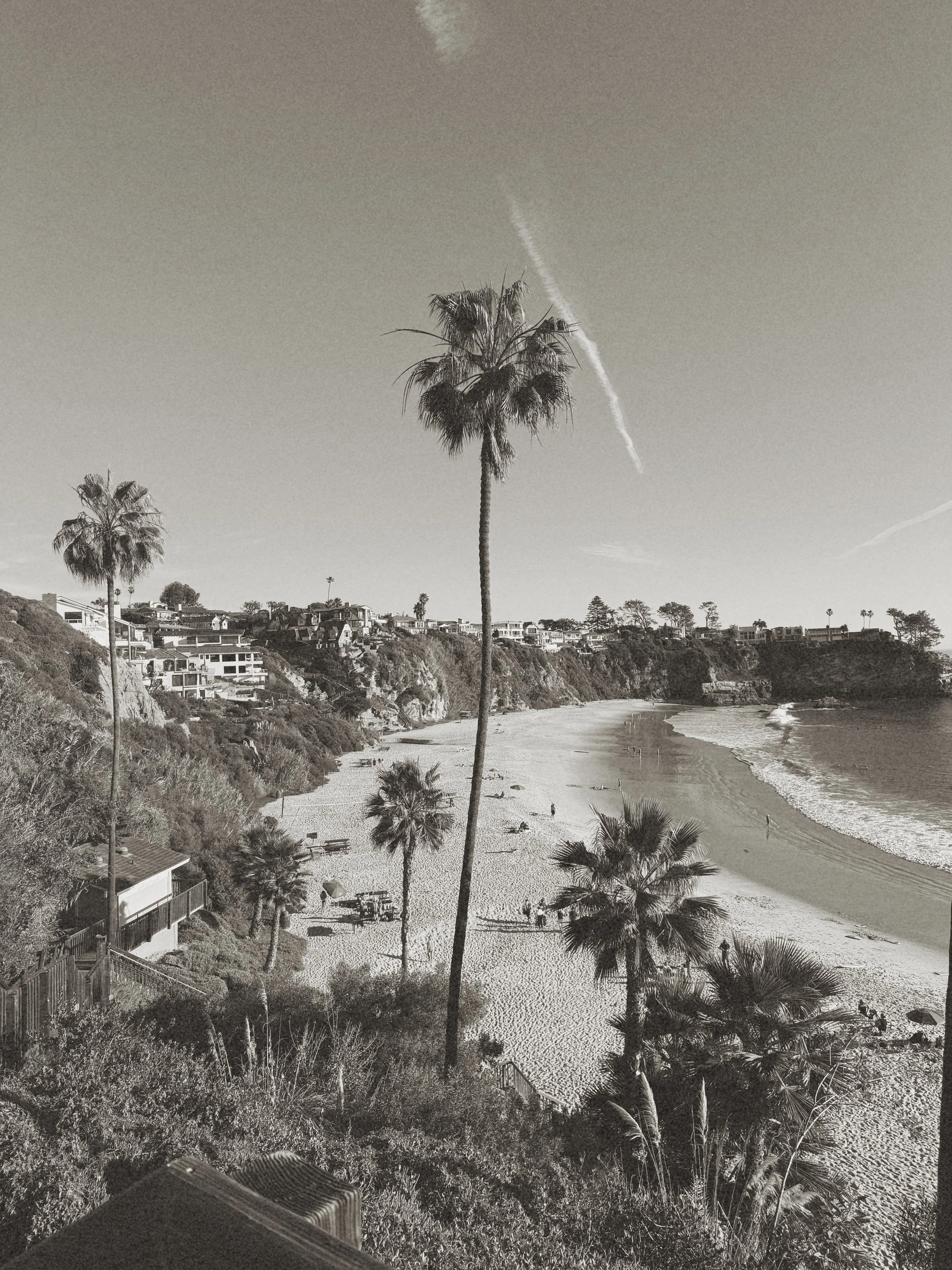 Black and white photo of a beach with tall palm trees, sandy shore, and houses on the hillside in the background.
