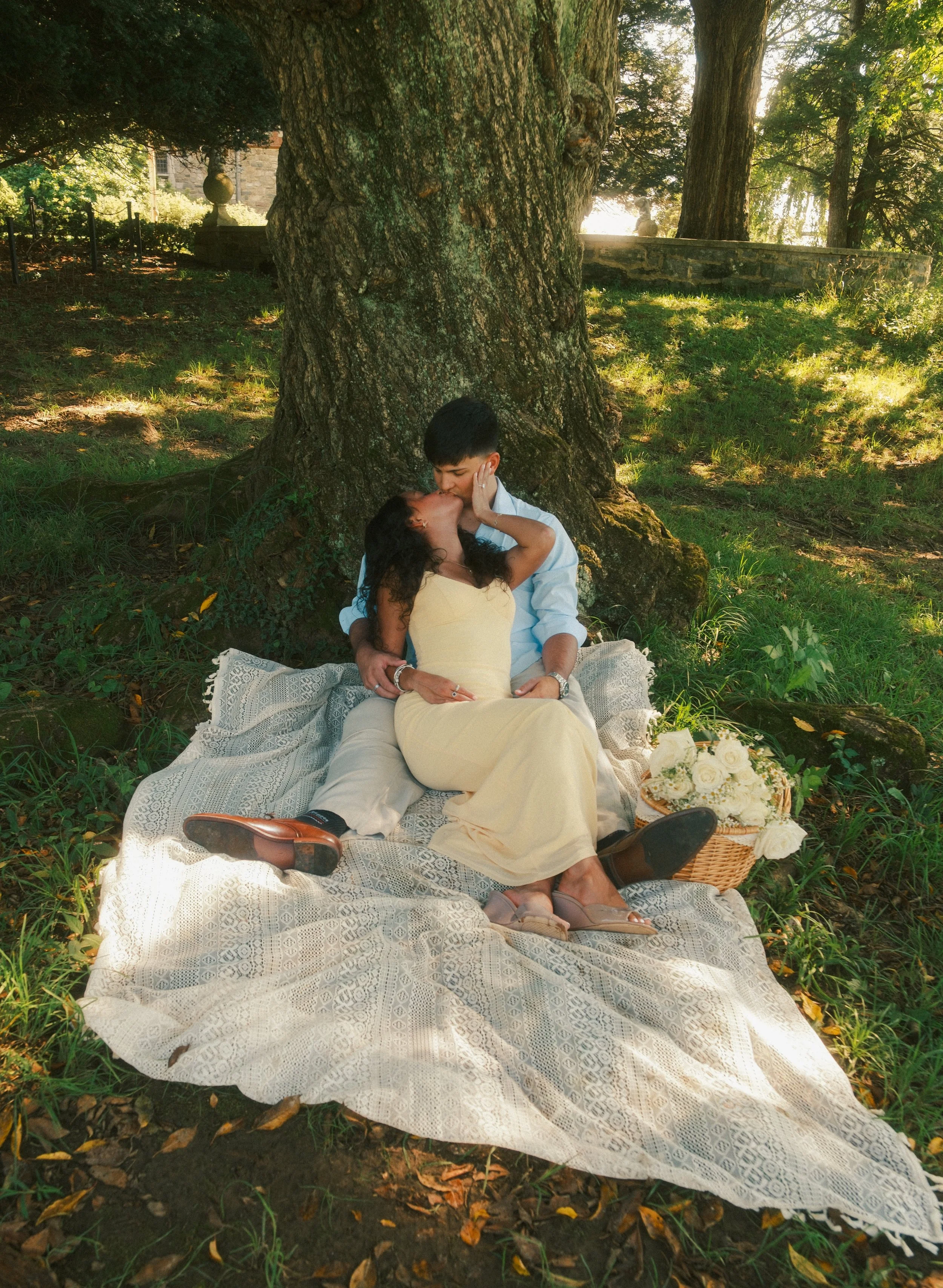 A couple sitting on a blanket under a large tree, sharing a kiss in a park during daylight. The woman wears a yellow dress, and the man wears a light blue shirt and beige pants. There is a basket of white roses nearby.
