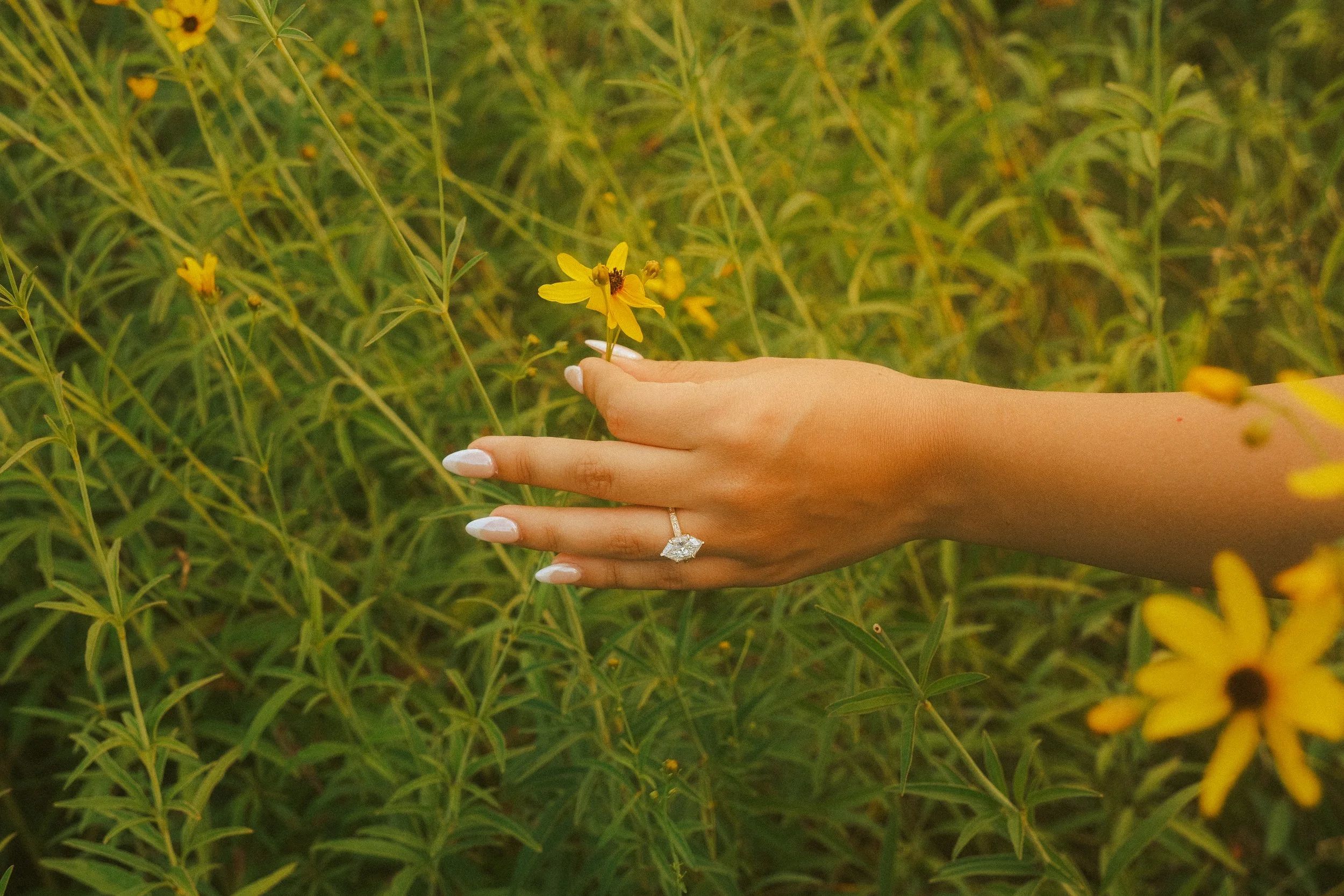 A hand with a diamond ring on the ring finger gently holding a yellow flower, with a background of green foliage and yellow flowers.