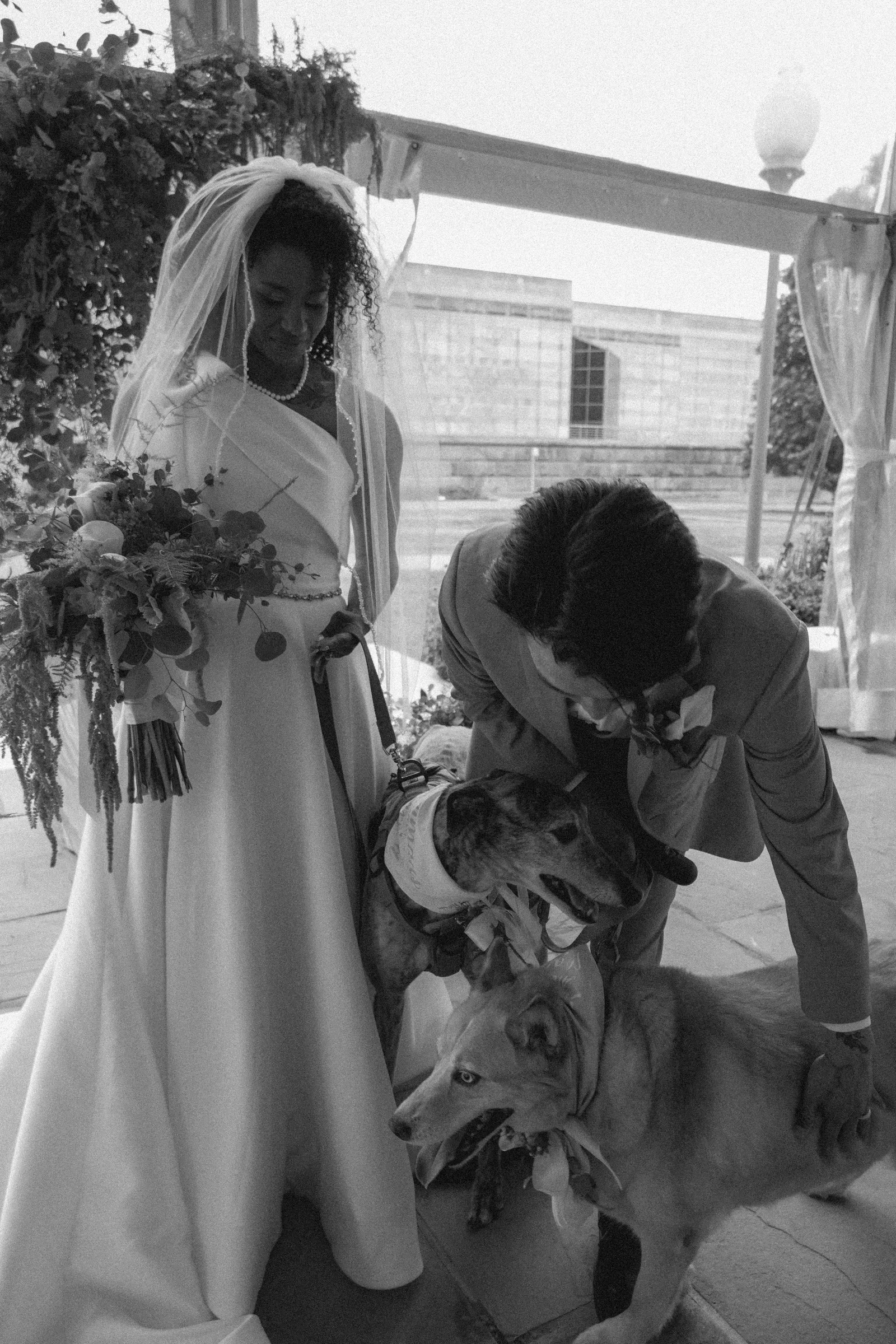 A bride in a wedding dress and veil, holding a bouquet, is standing outside under a canopy. She appears emotional, looking down, while a man in an outdoor setting is bending down toward a large dog, possibly a husky.