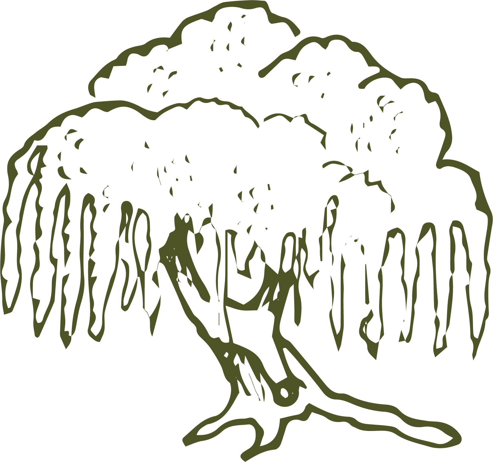 Line drawing of a tree with hanging branches and a wide trunk.