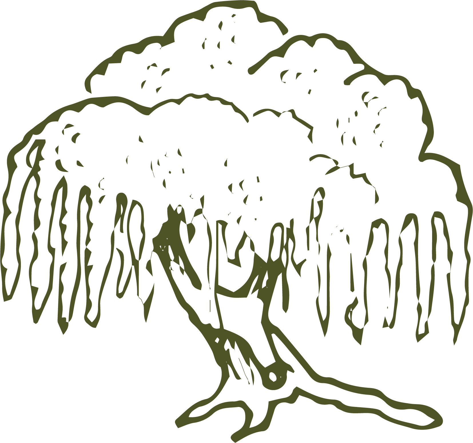 Outline drawing of a weeping willow tree with hanging branches and a slightly curved trunk.