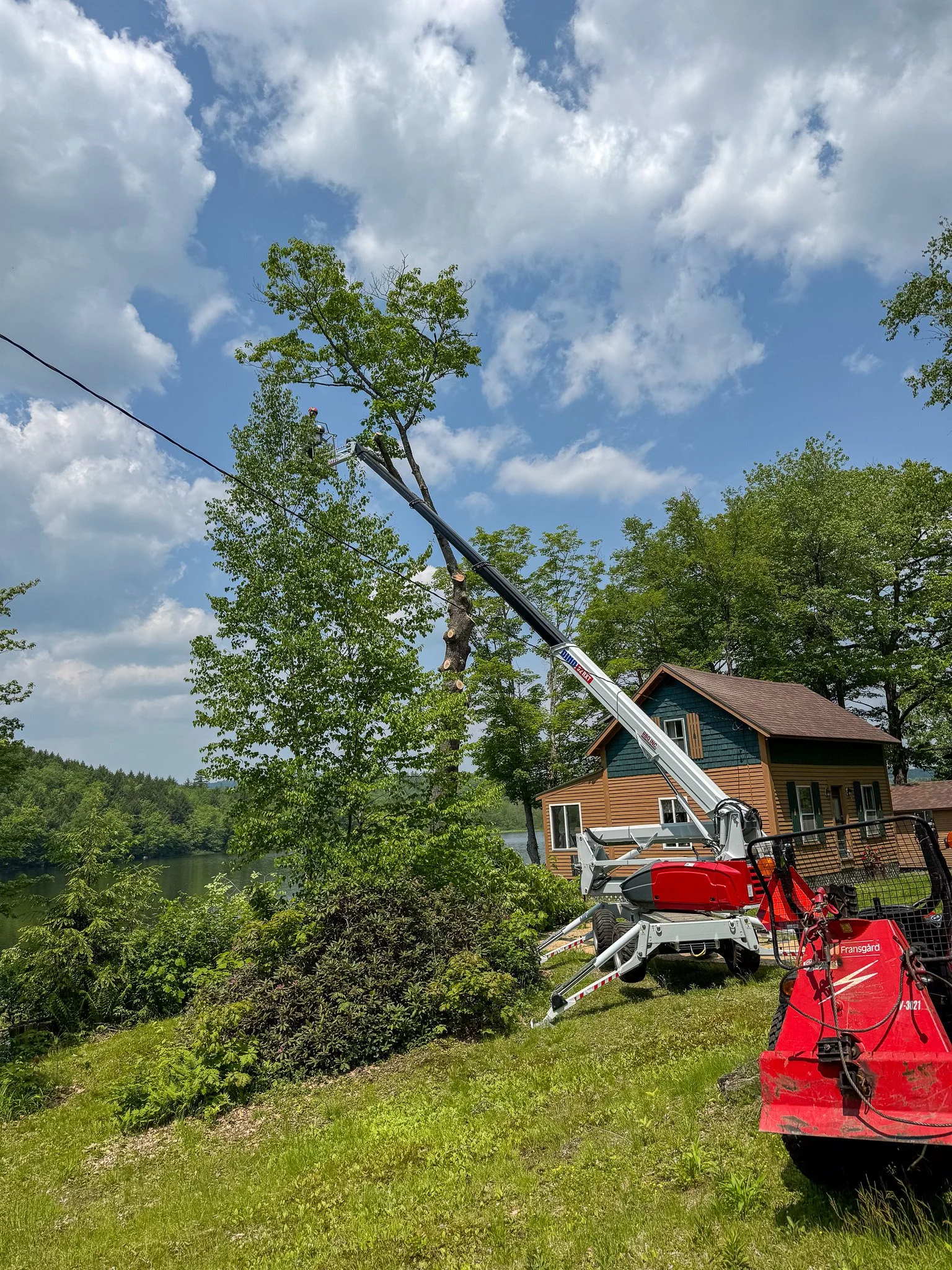 A tree-trimming helicopter lifts a worker in a bucket to trim a tall tree near a house with a lake and forest in the background. Tree Service Maine, Learned Tree Service 