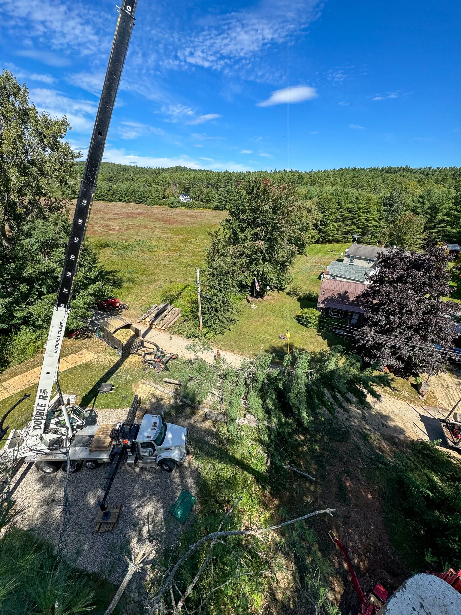 A construction crane lifting logs in a residential yard surrounded by trees and open fields under a blue sky with clouds. Tree Service Maine, Learned Tree Service 