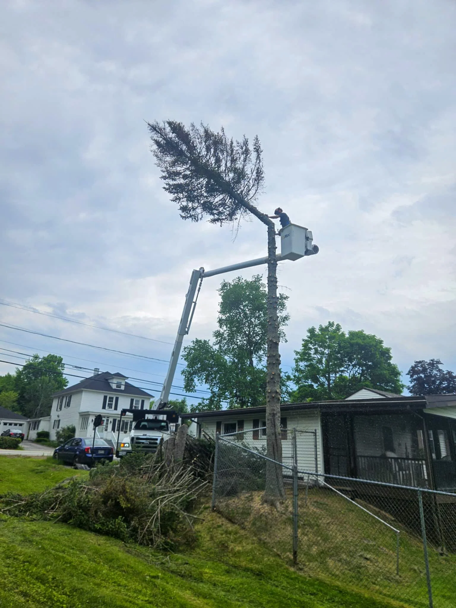 A worker in a bucket lift trimming a tall tree in a suburban neighborhood with houses and parked cars visible. Tree Service Maine, Learned Tree Service 
