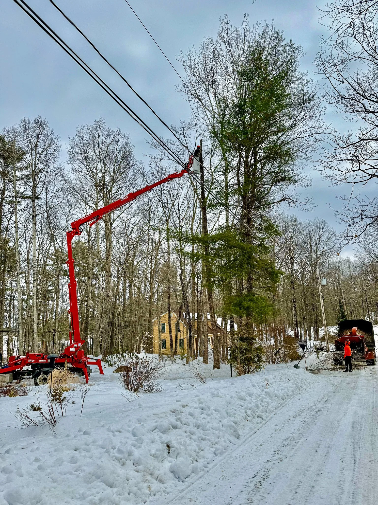 Tree trimming workers using a cherry picker lift to prune a tall tree in a snowy residential neighborhood. Tree Service Maine, Learned Tree Service 