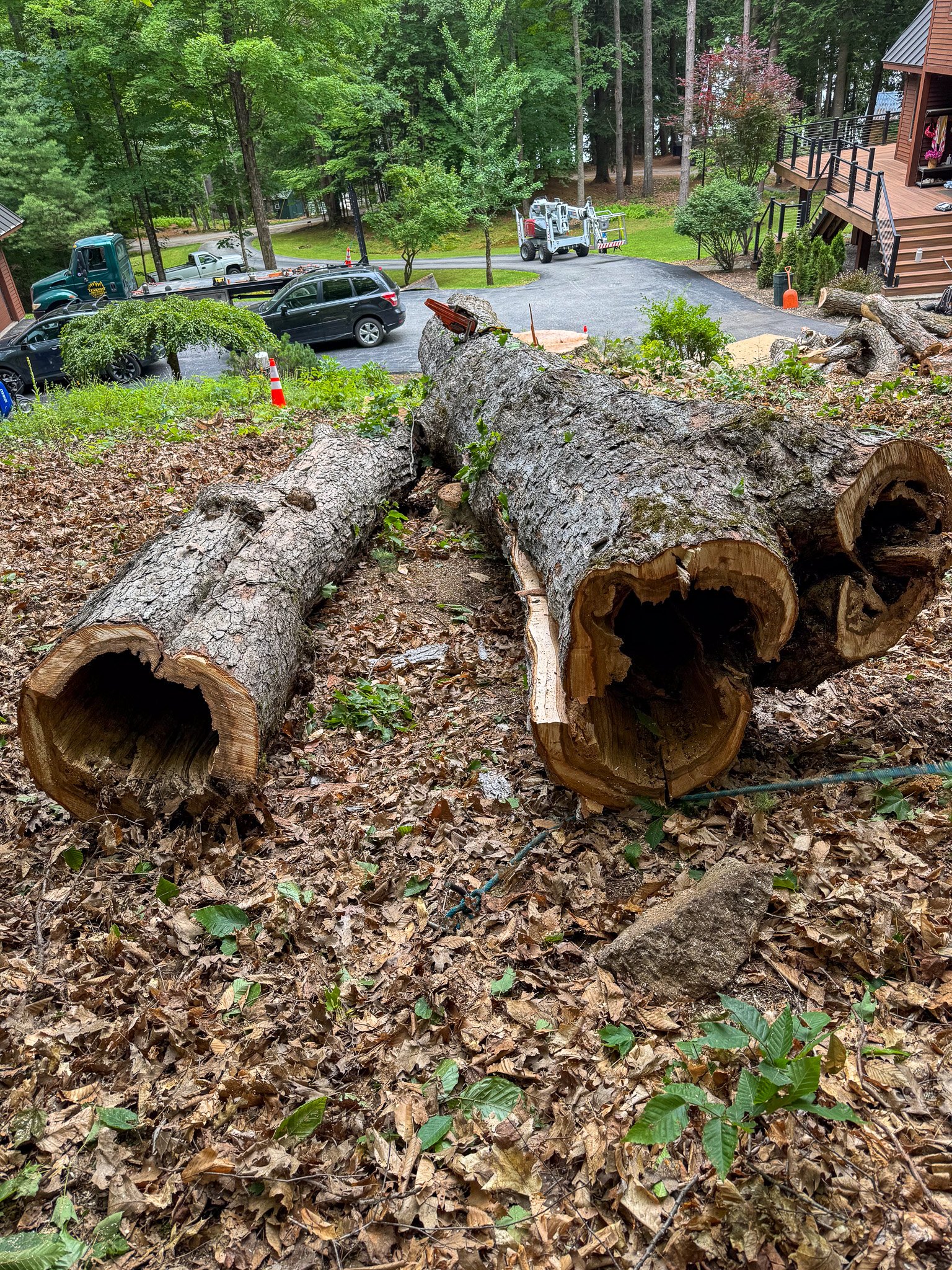 Large fallen tree trunks on a leaf-covered ground in a residential area with parked cars, trees, and a building with steps in the background. Tree Service Maine, Learned Tree Service 