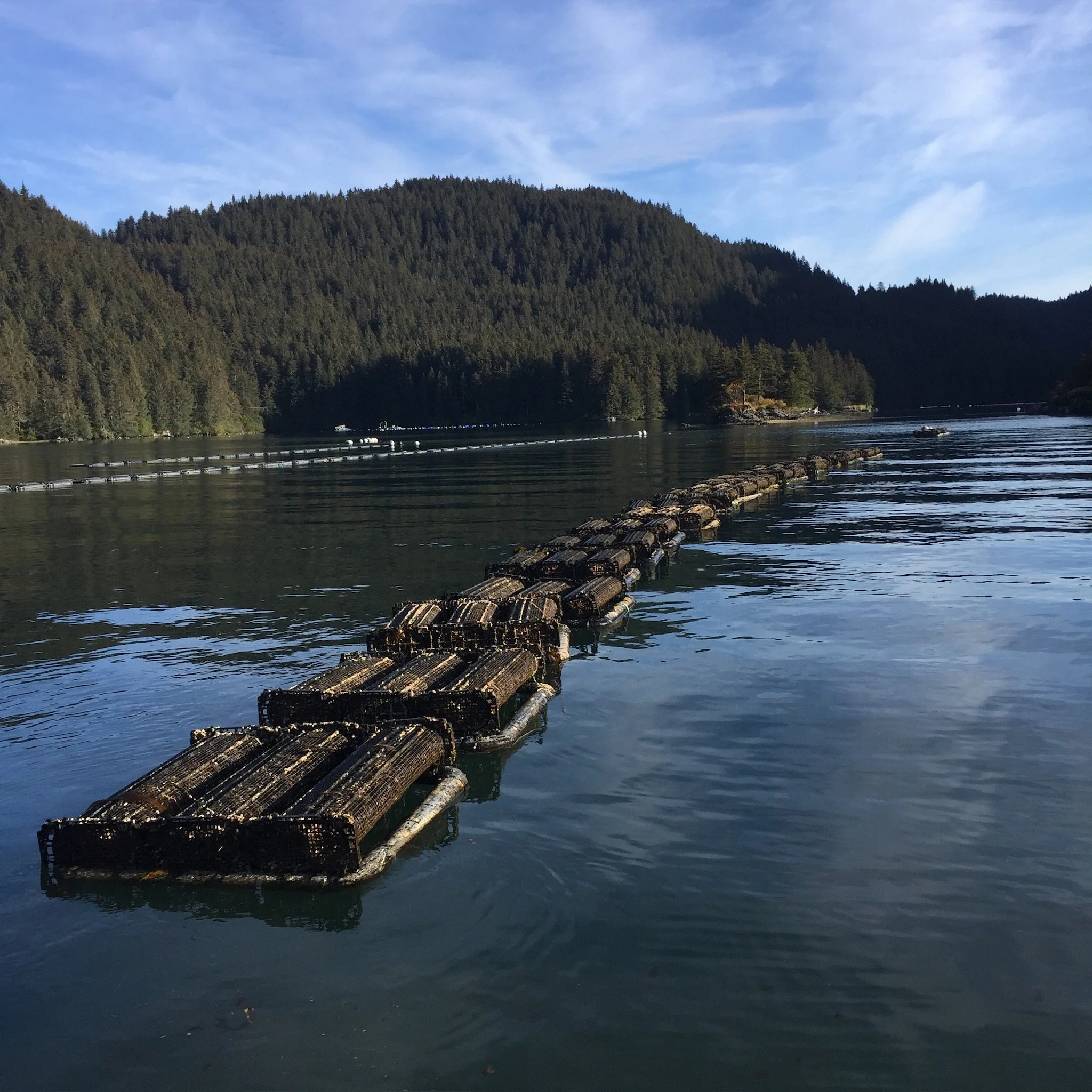 How Long Does it Take?