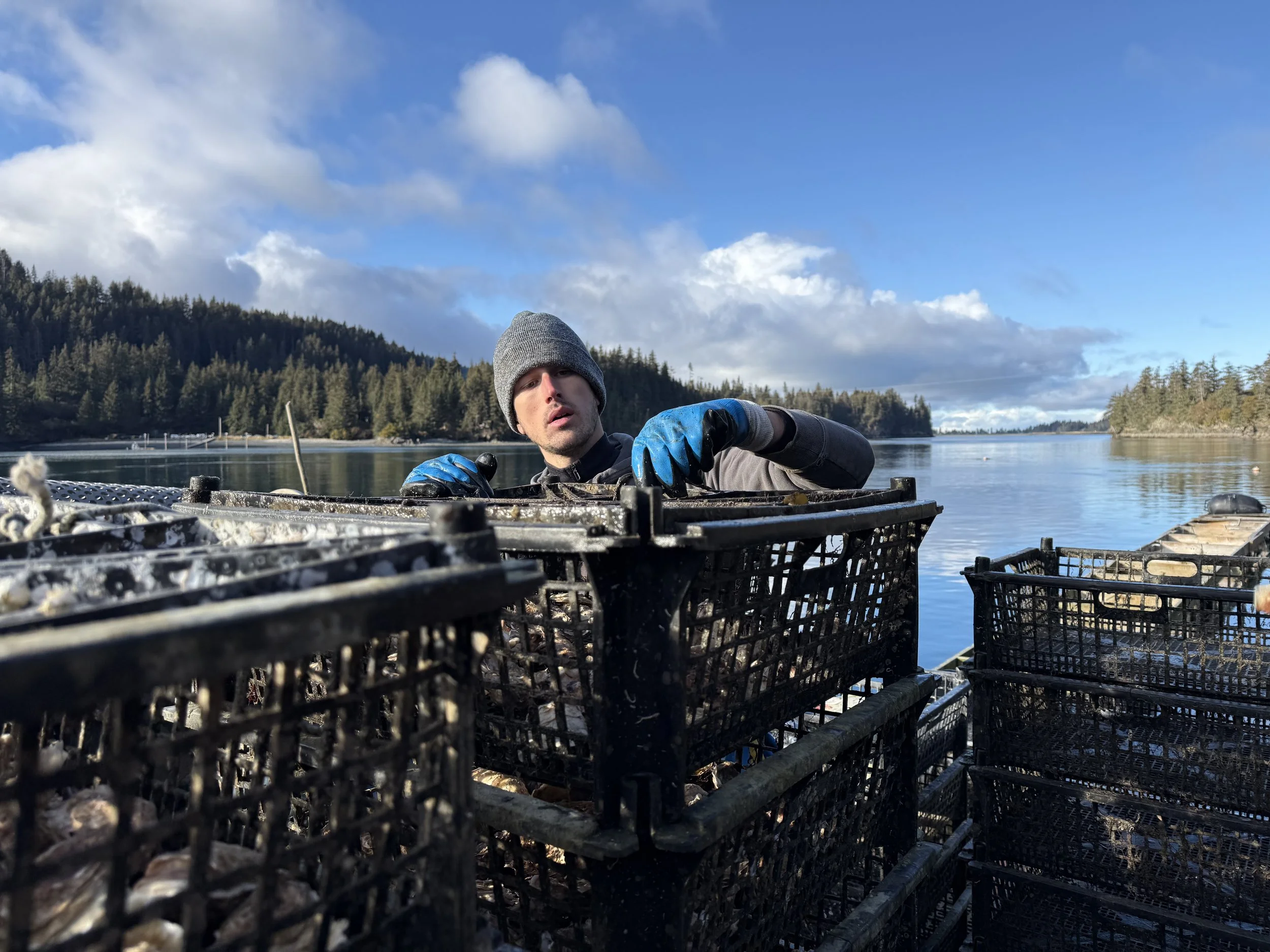 Where Do You “Catch” Them?"