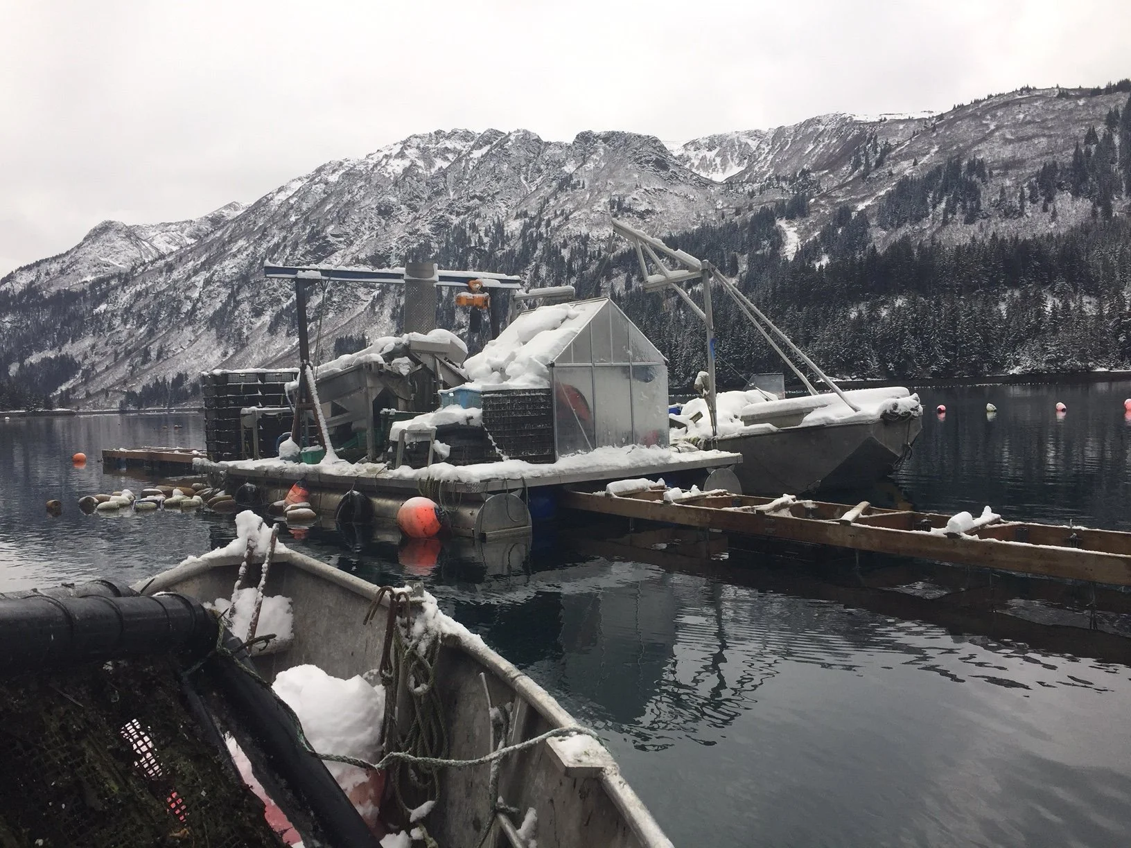 Snow-covered processing barge in Jakolof Bay Alaska with snowy mountains in the background, and snow on the boat and surrounding equipment.