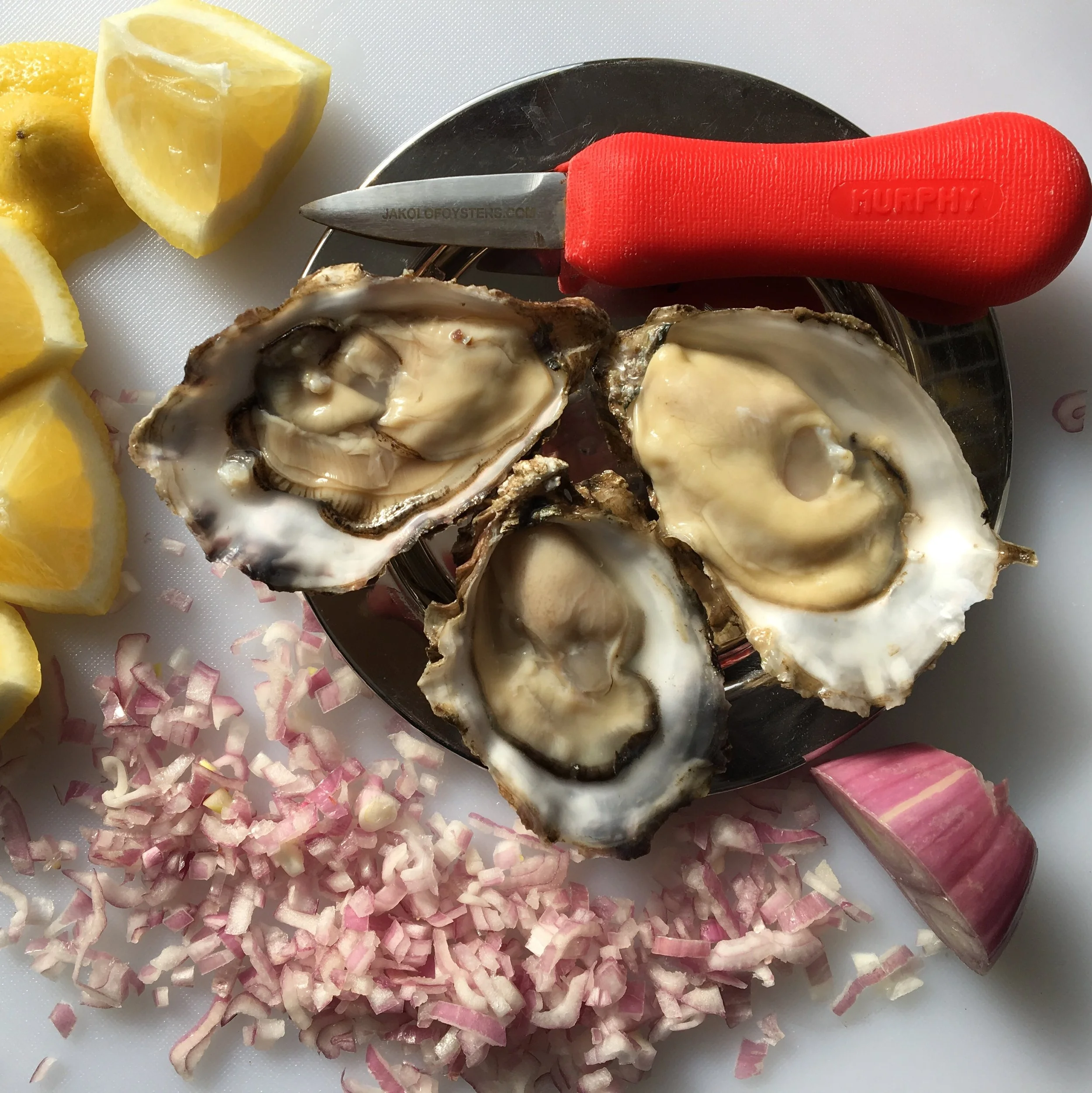 Fresh oysters on a metal plate surrounded by lemon wedges, chopped red onion, and a garlic clove, with a red-handled oyster knife nearby.