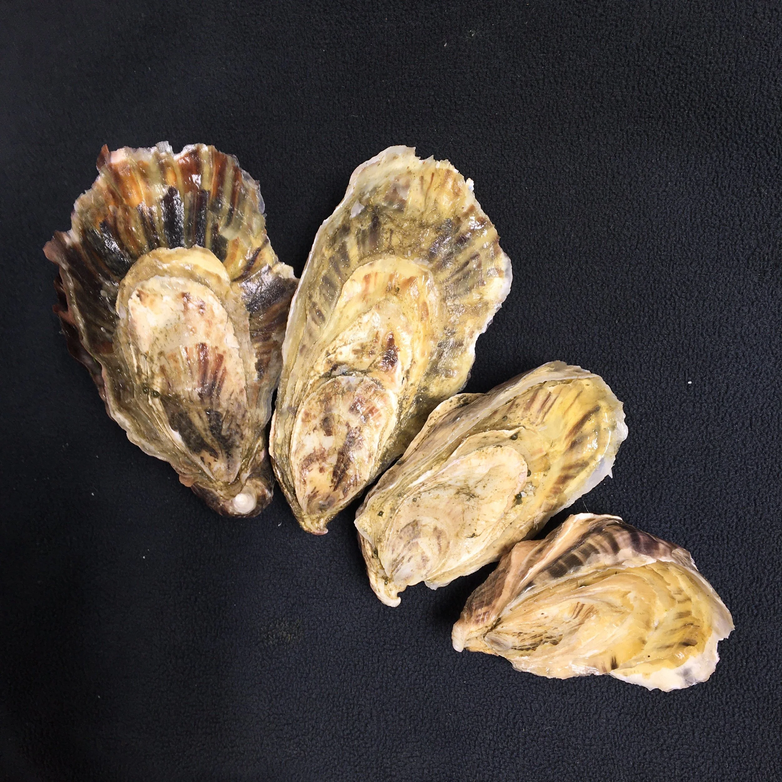 Our Weight-Based Sizing Explained