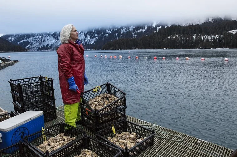 Woman with white hair, red jacket, and blue gloves standing on dock by water, with oyster cages filled with oysters, near a mountain with fog and row of buoys.