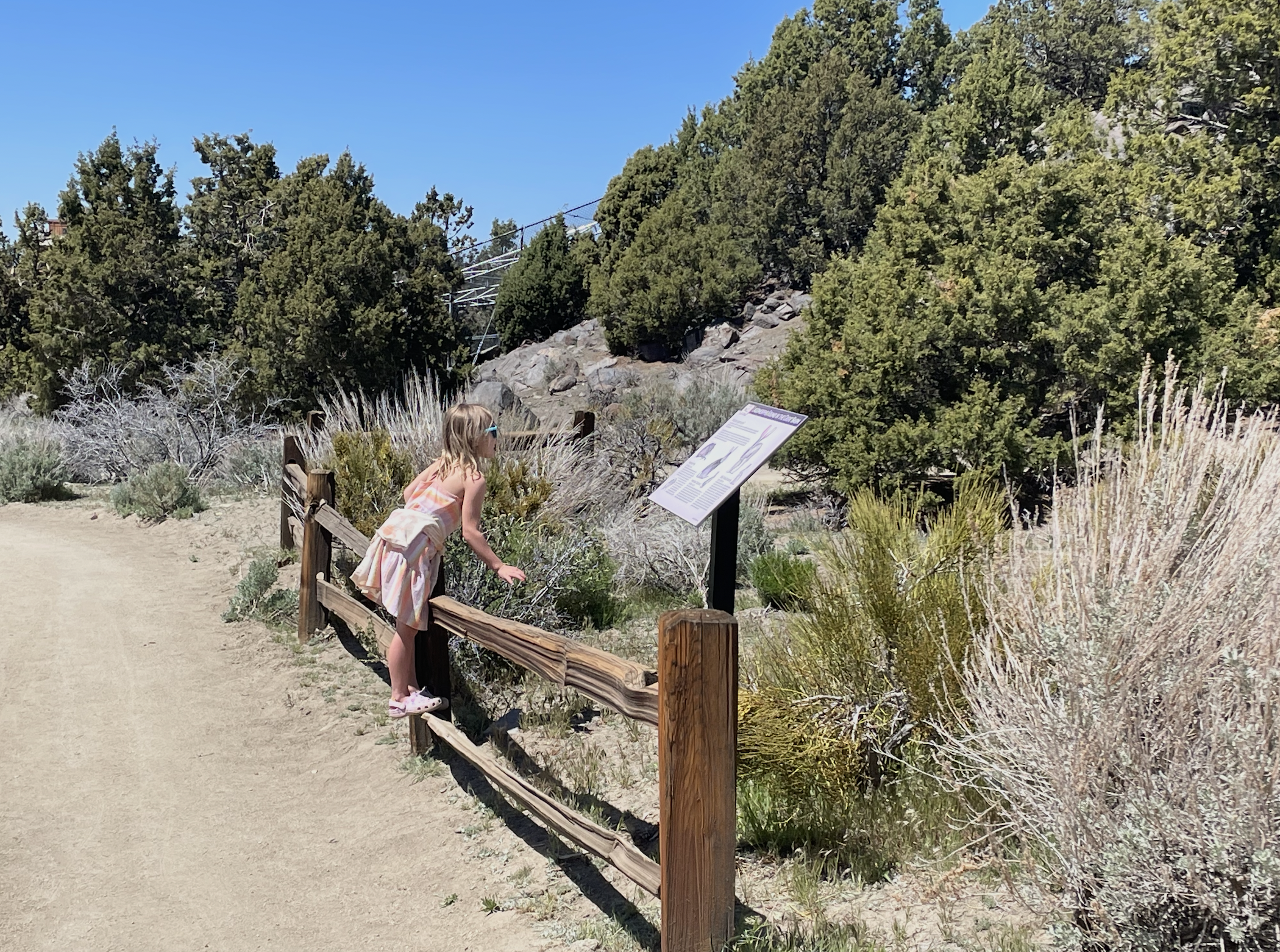 The Kids You Don’t See Struggling