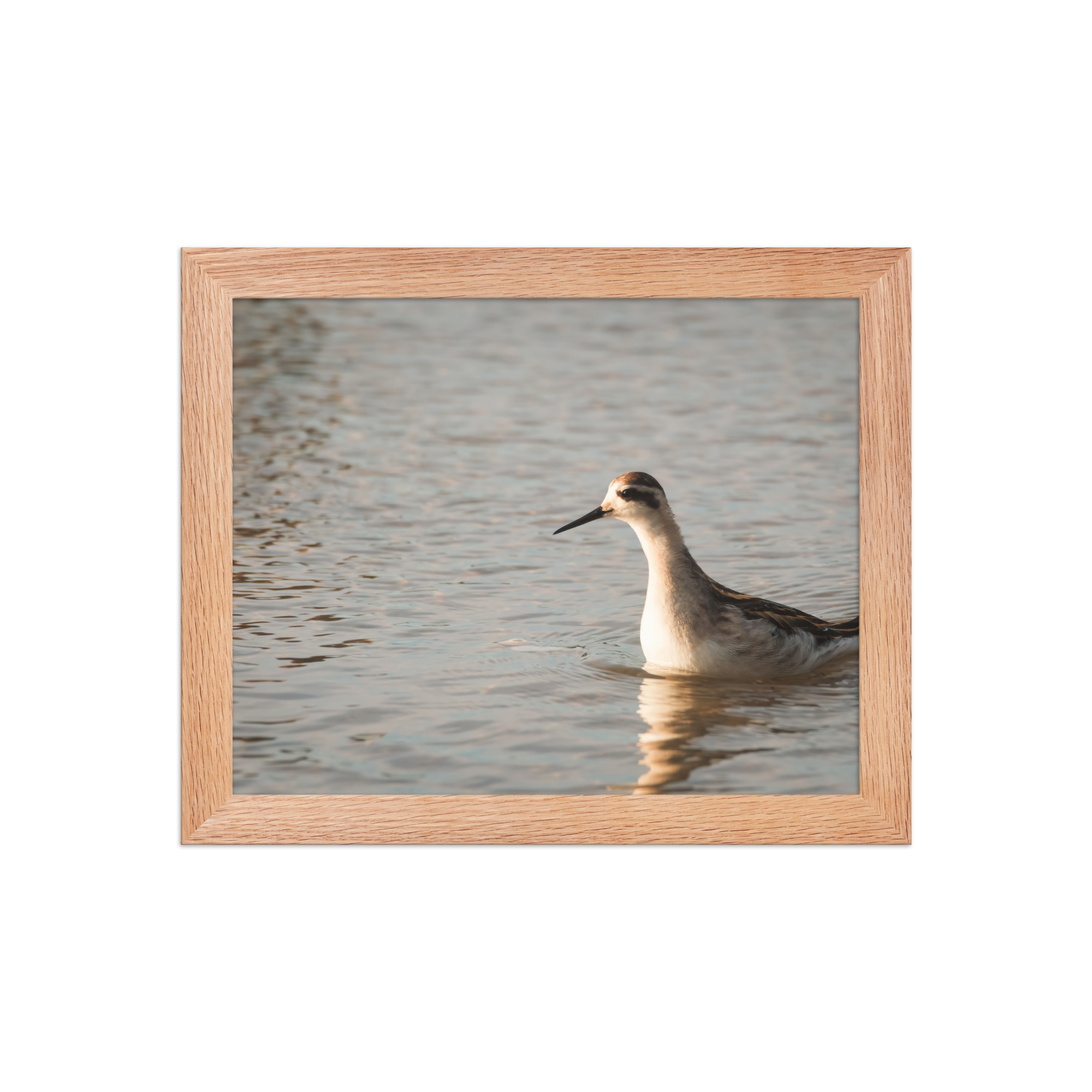 premium-luster-photo-paper-framed-poster-(in)-red-oak-8x10-front-694b35bb9968a.png