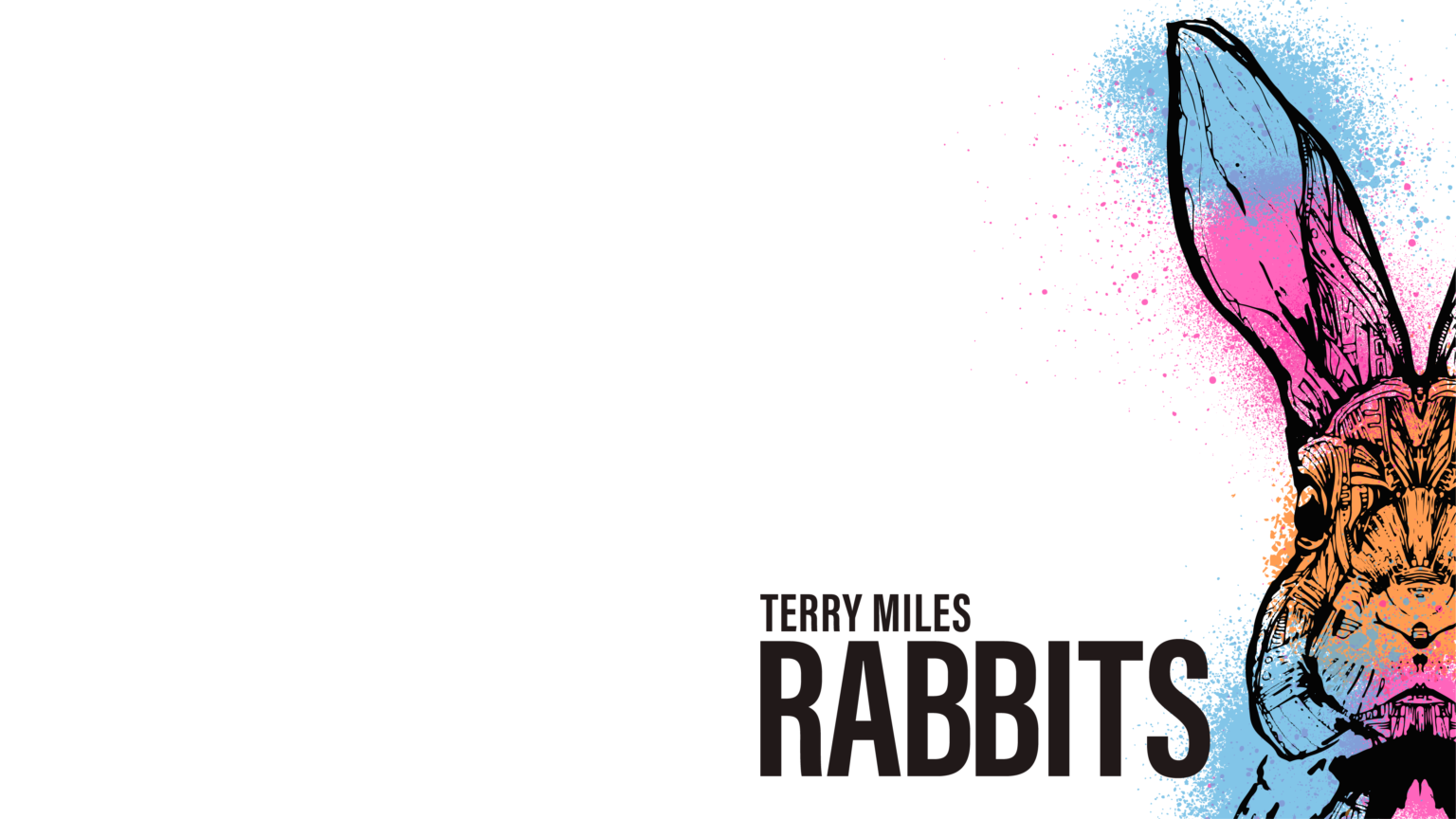rabbits_wallpaper_3_4k-steventrotter-1536x864.png