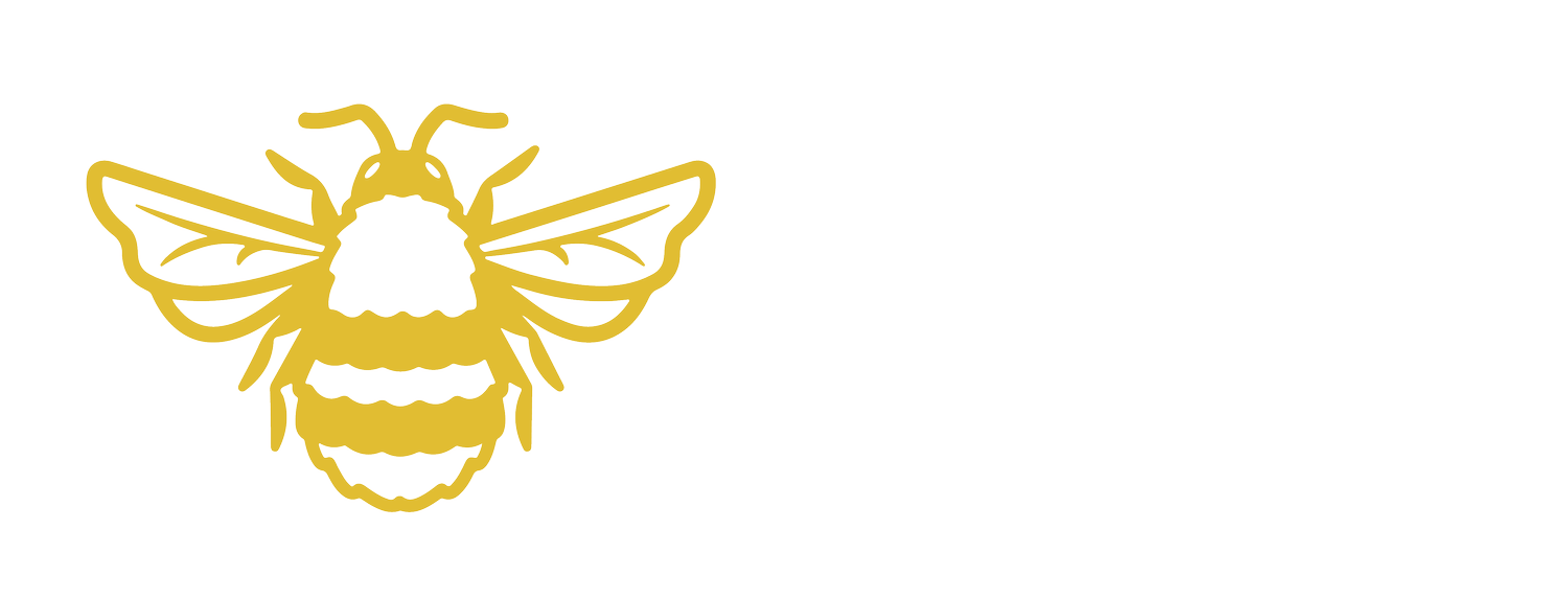 Steven Trotter - Photography &amp; Design