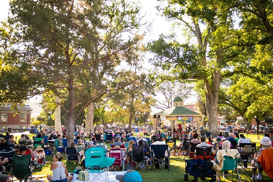 Crowd gathered in a park watching a band perform on an outdoor stage with a gazebo, surrounded by large trees, on a sunny day.