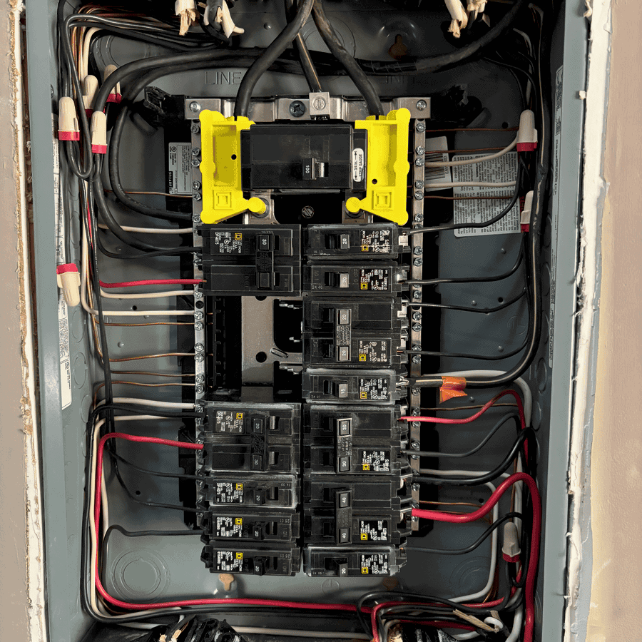 Electrical panel with transfer switch