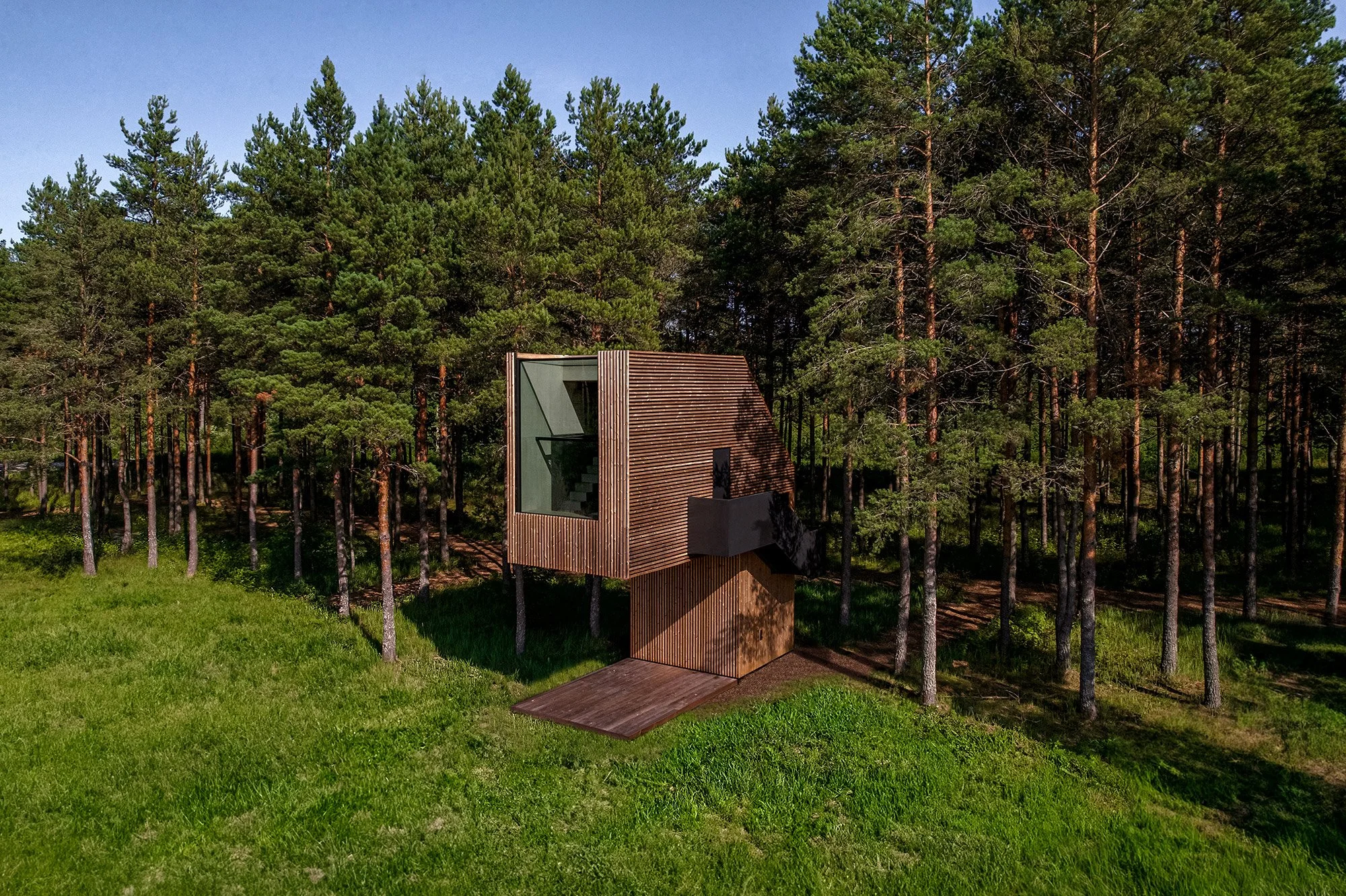 Modern wooden house with large glass window surrounded by tall pine trees and green grass