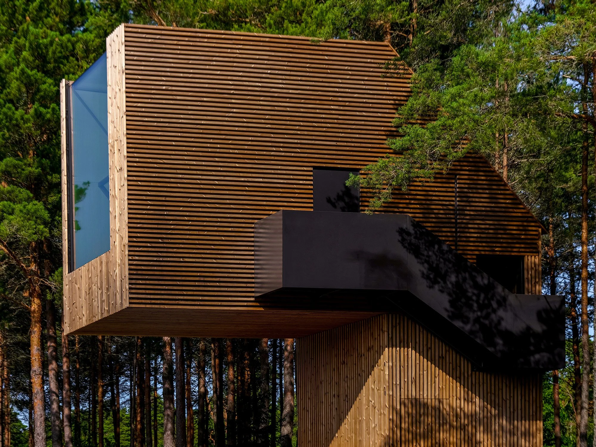 Architect-designed sculptural house with wooden slatted exterior and large black balcony, surrounded by tall pine trees.