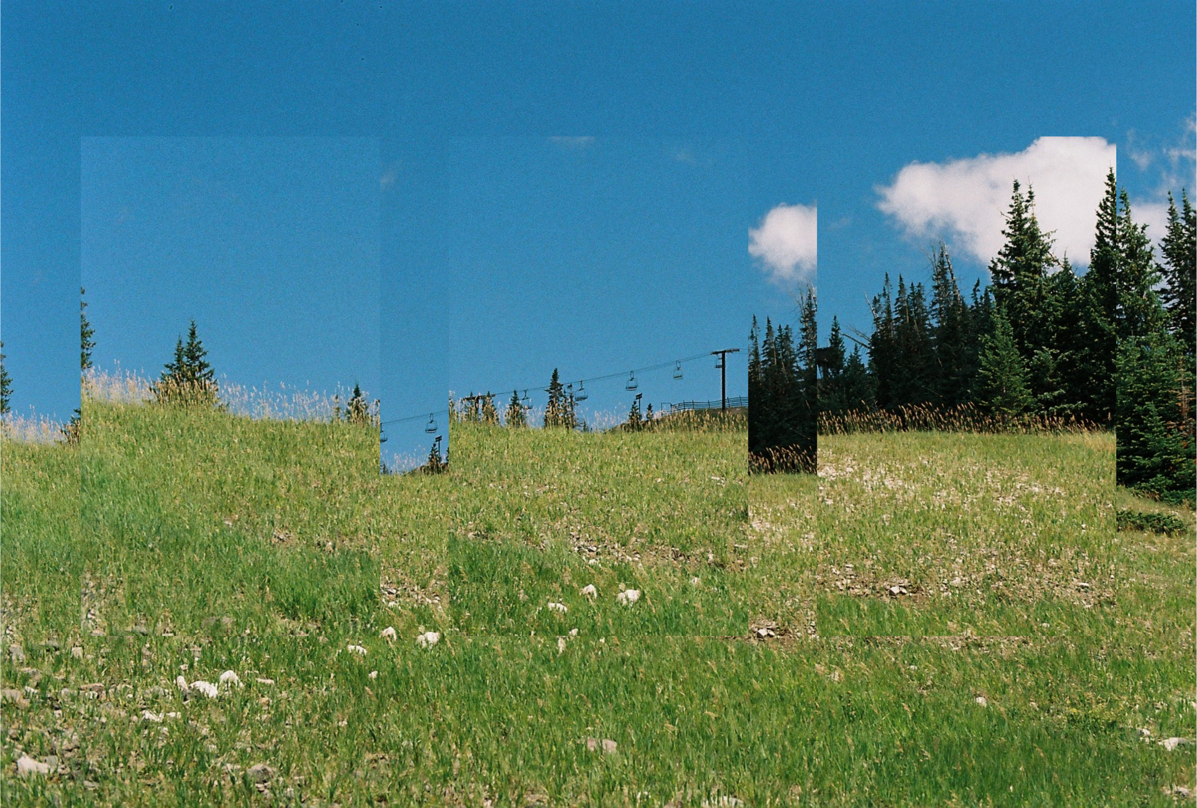 A grassy hillside with wildflowers, green trees, and a bright blue sky with white clouds.