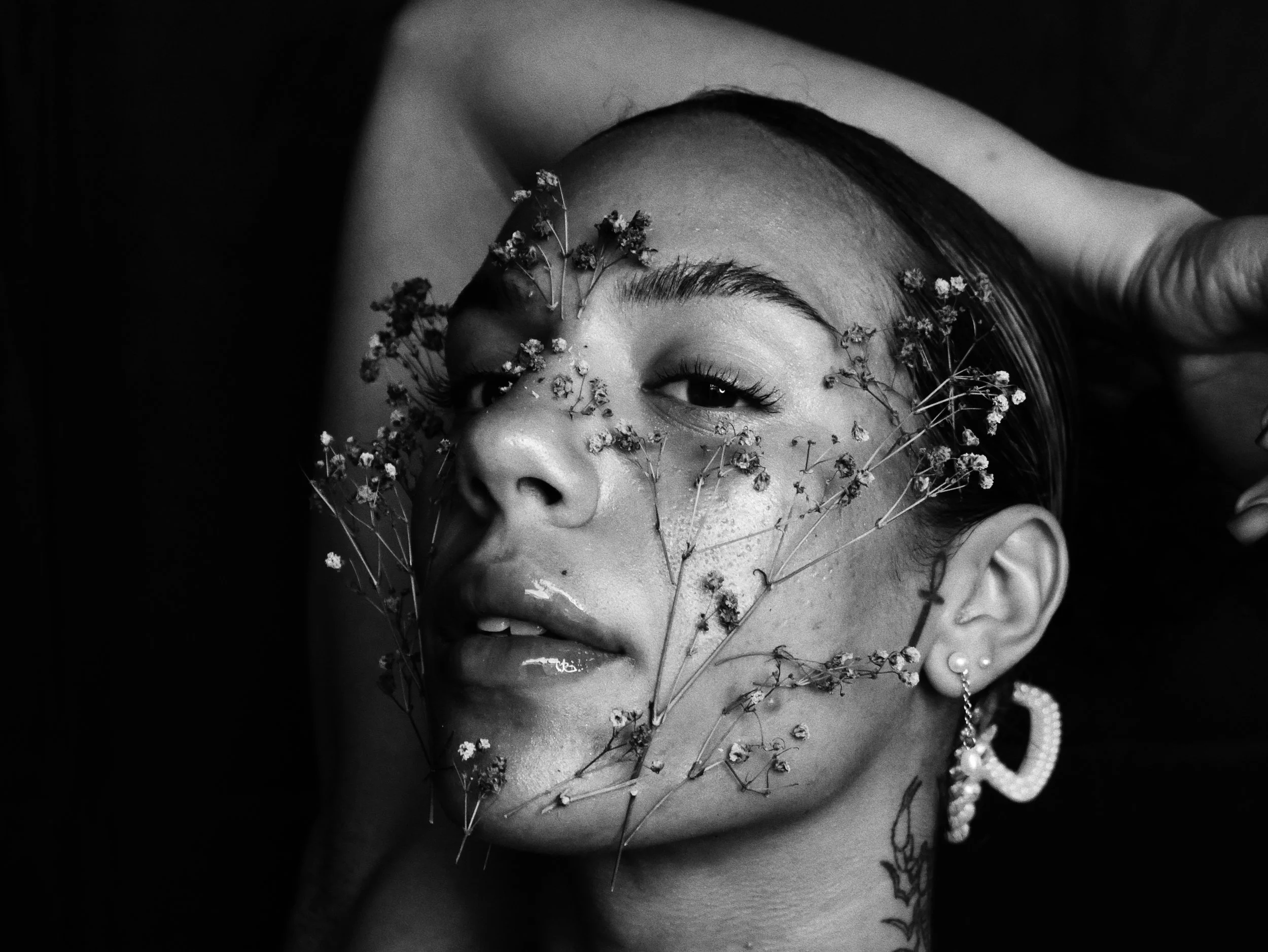 “Purple Haze” Stills