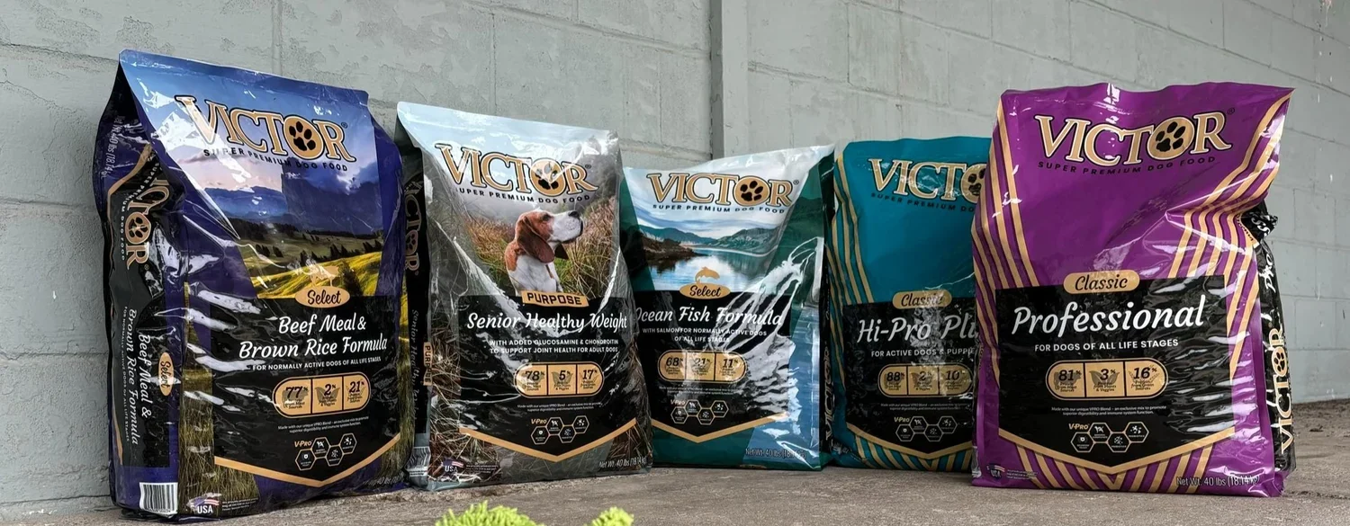 Five bags of Victor dog food lined up on a concrete surface against a gray brick wall, each with different labels and colors.