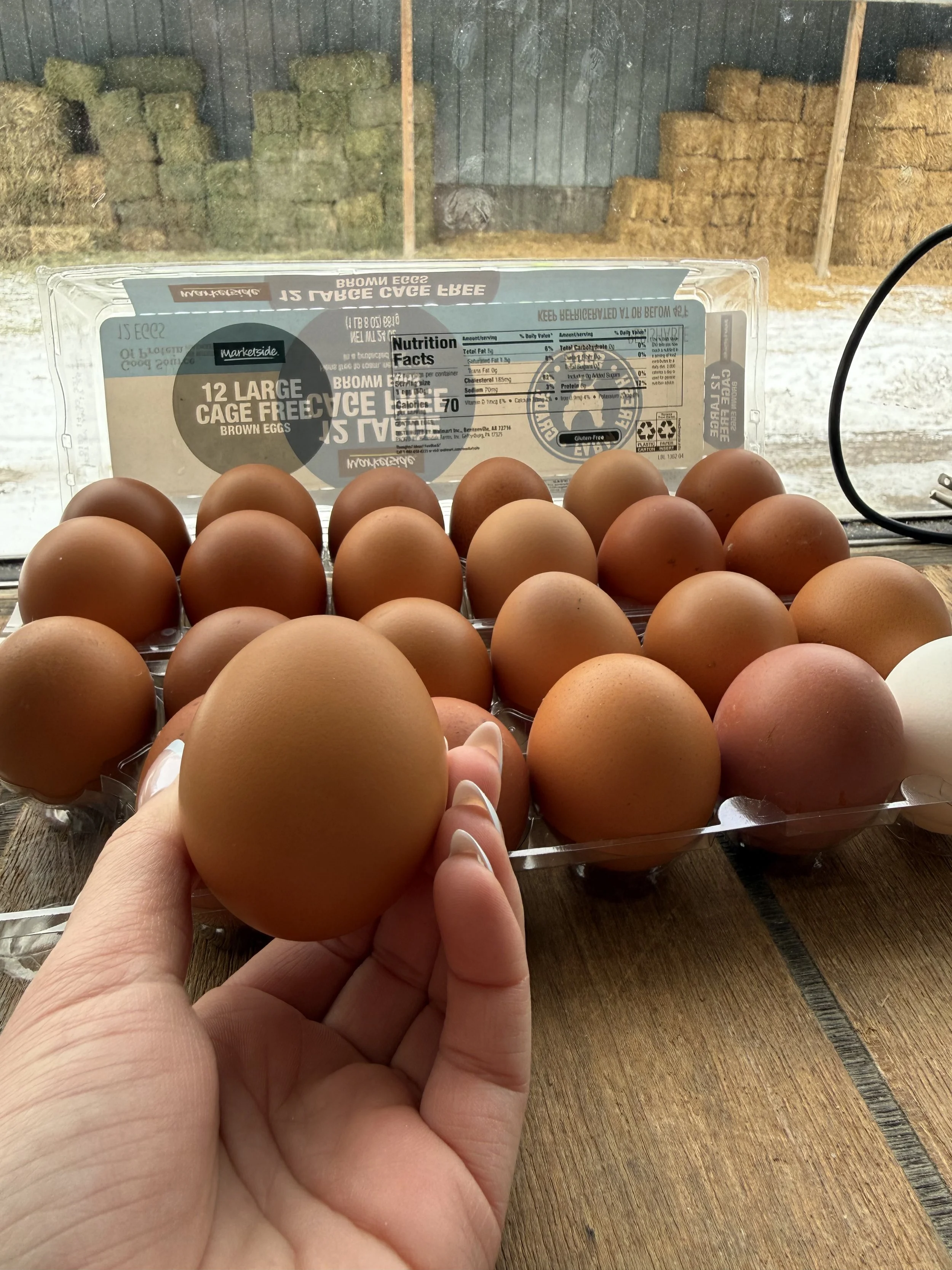 A hand holding a brown egg over a tray of similar eggs, with a container of eggs in the background and a farm scene outside the window.