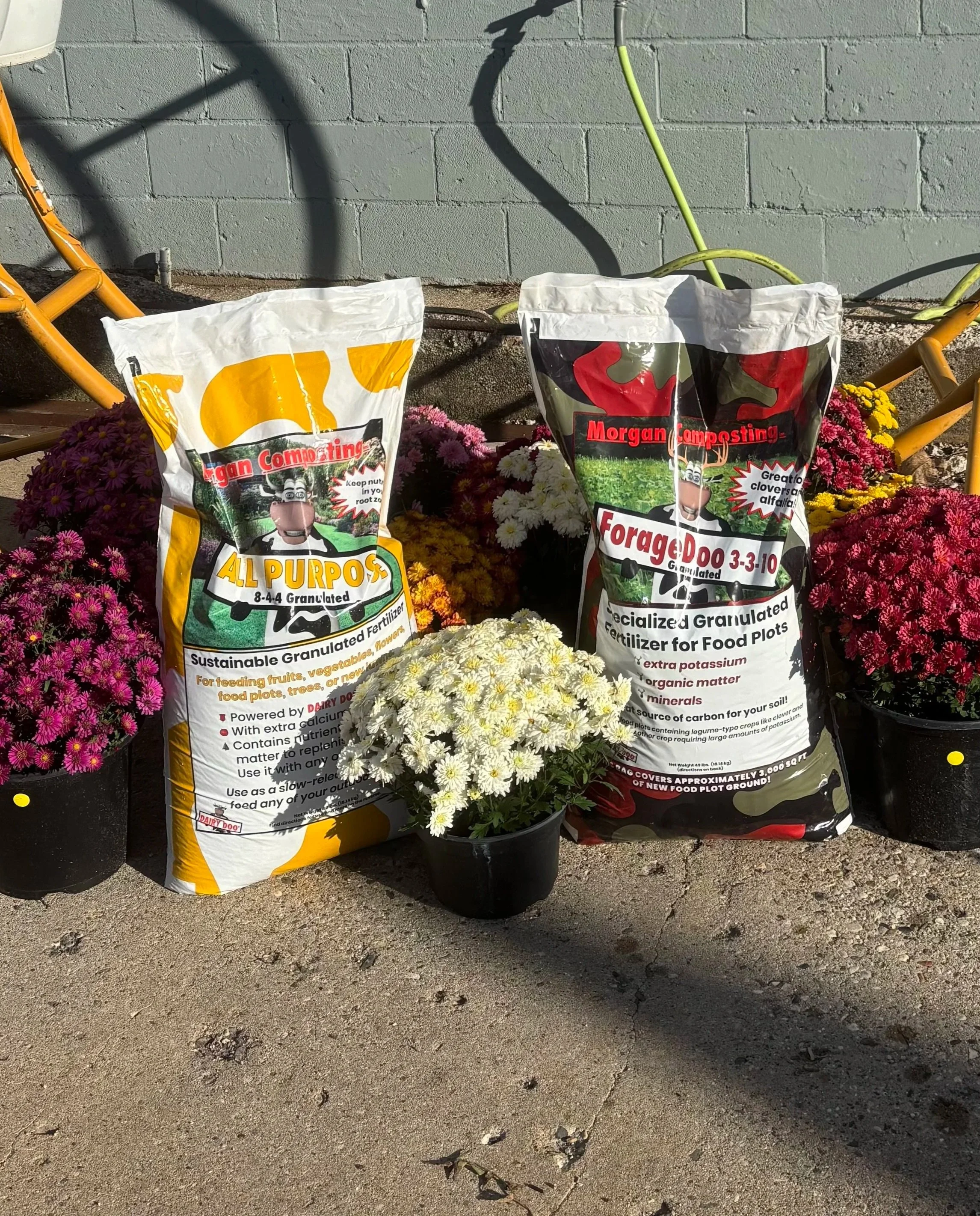 Two large bags of fertilizer labeled "Morgan Composting" with colorful flower plants in containers in front of a gray brick wall.