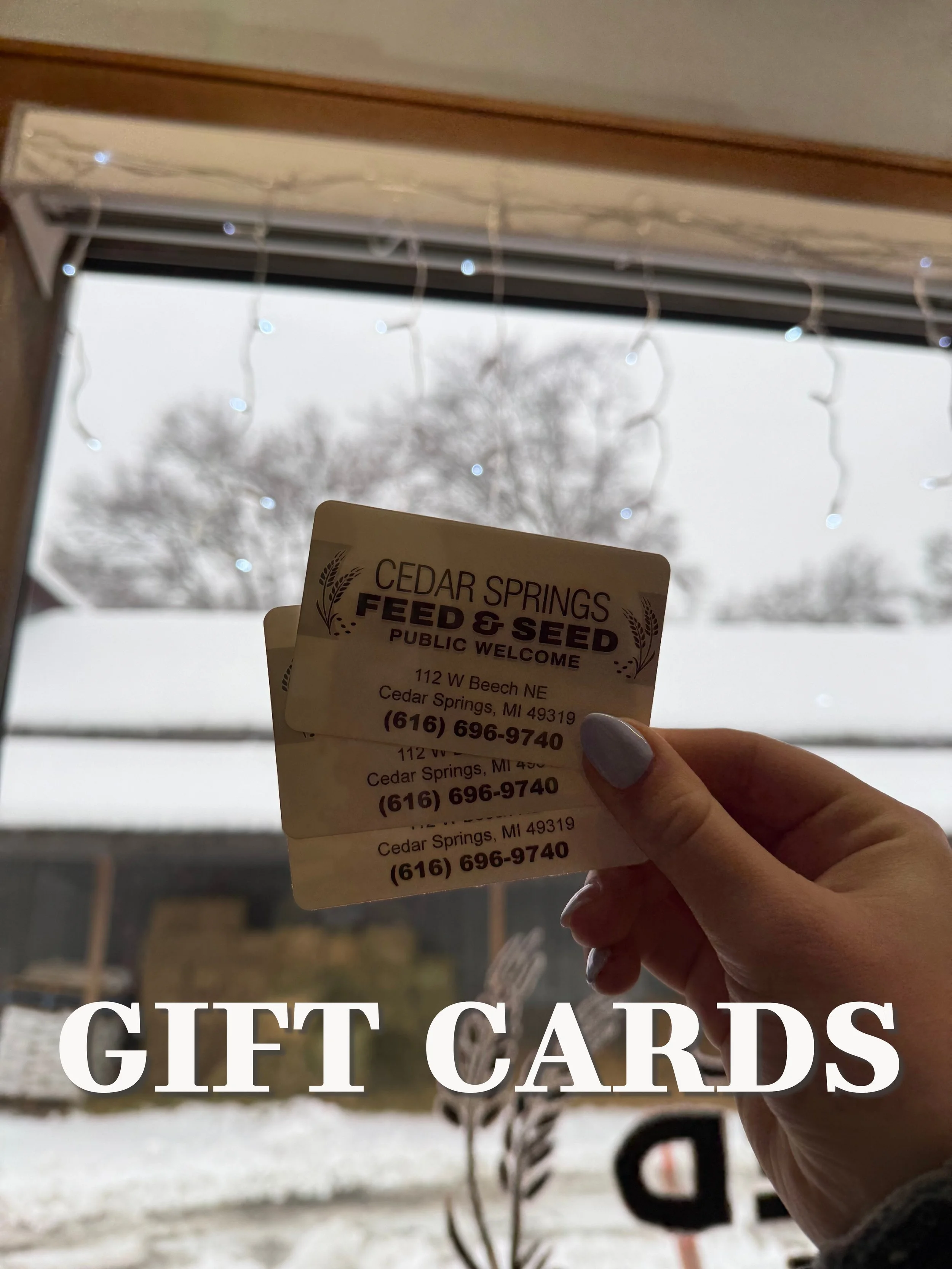 Hand holding multiple gift cards with Cedar Springs Feed & Seed logo and address, outside winter scene with trees and snow.