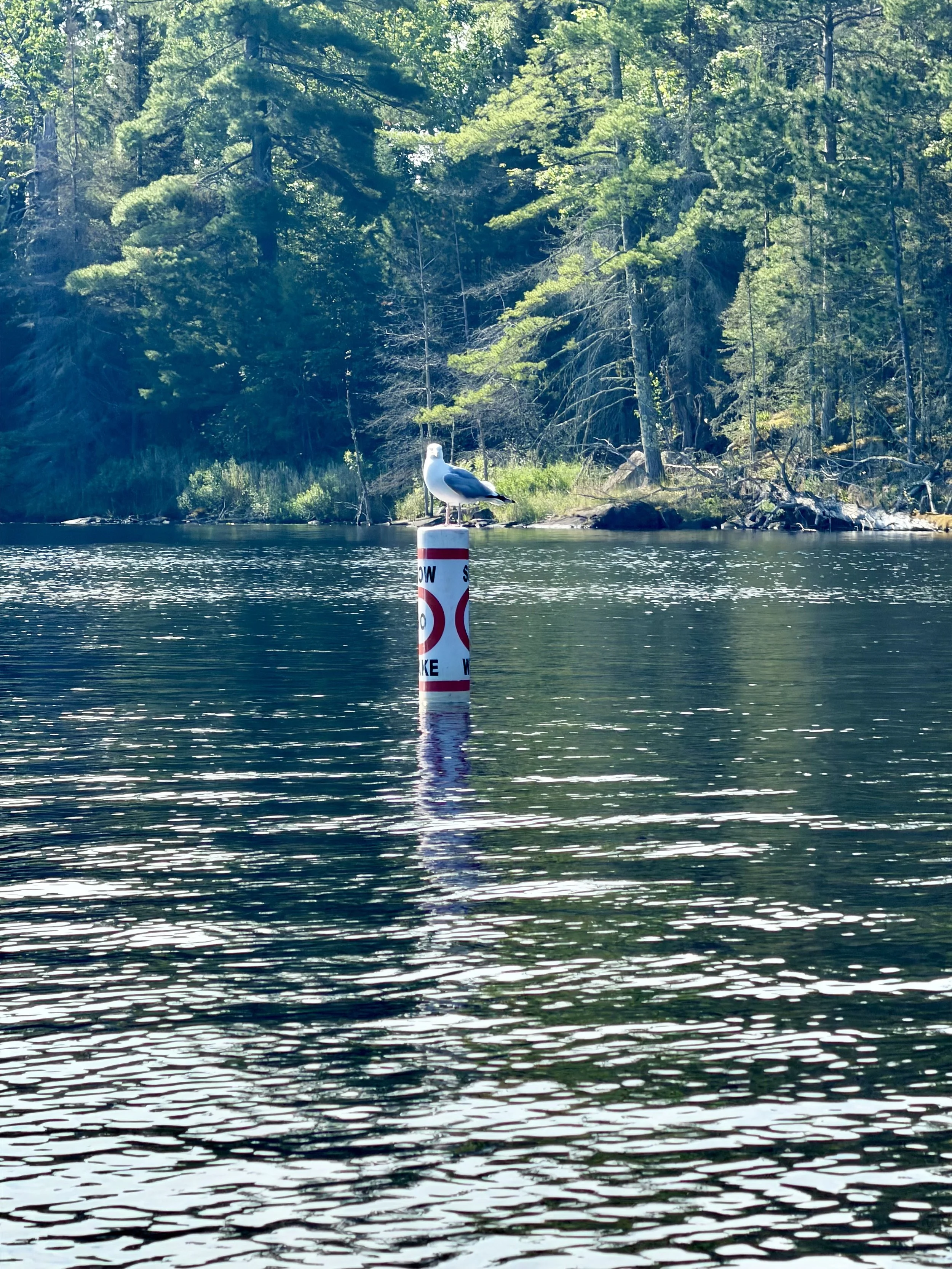 An Unplanned Voyage to Voyageurs