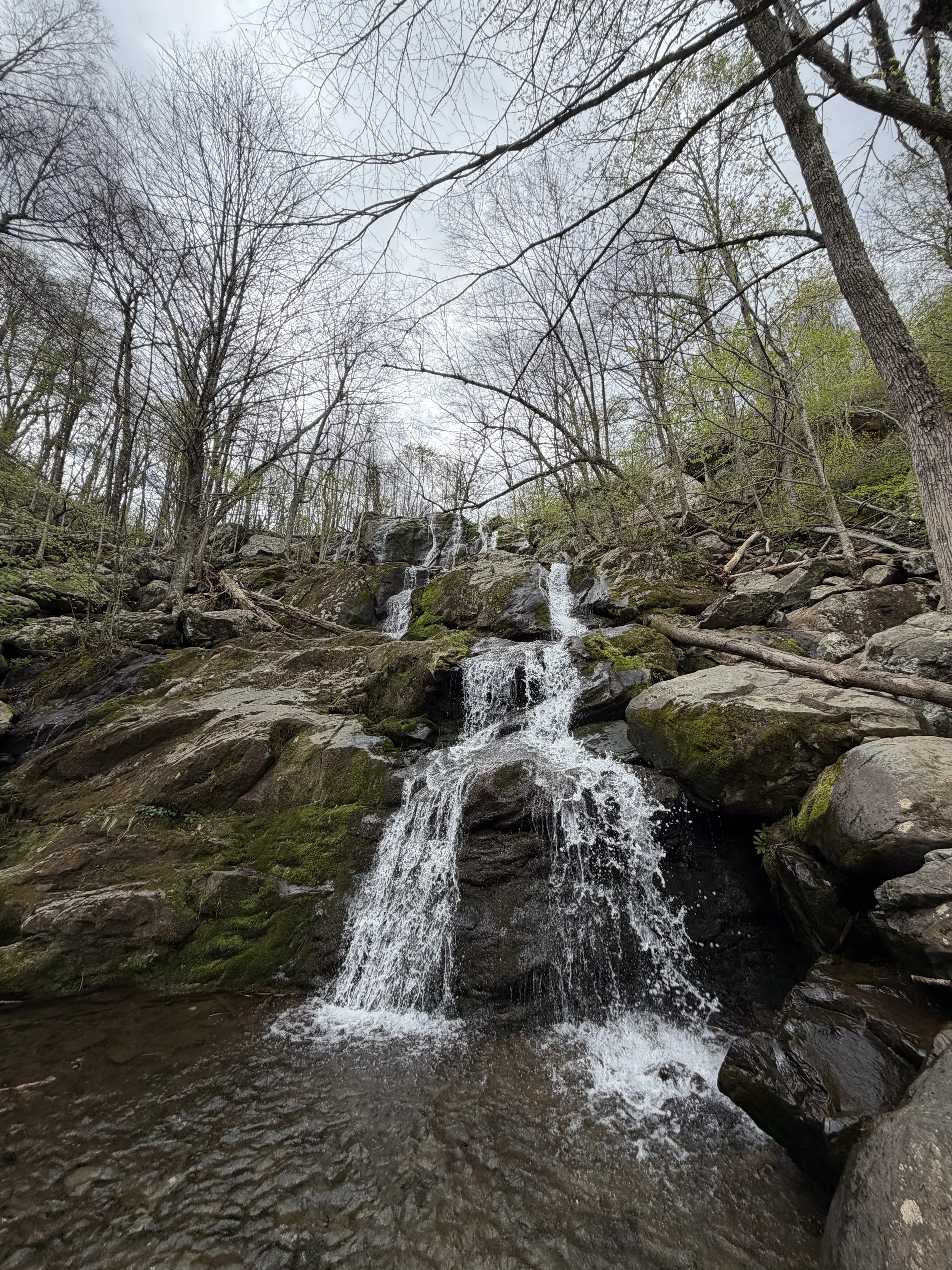 Rose River Falls