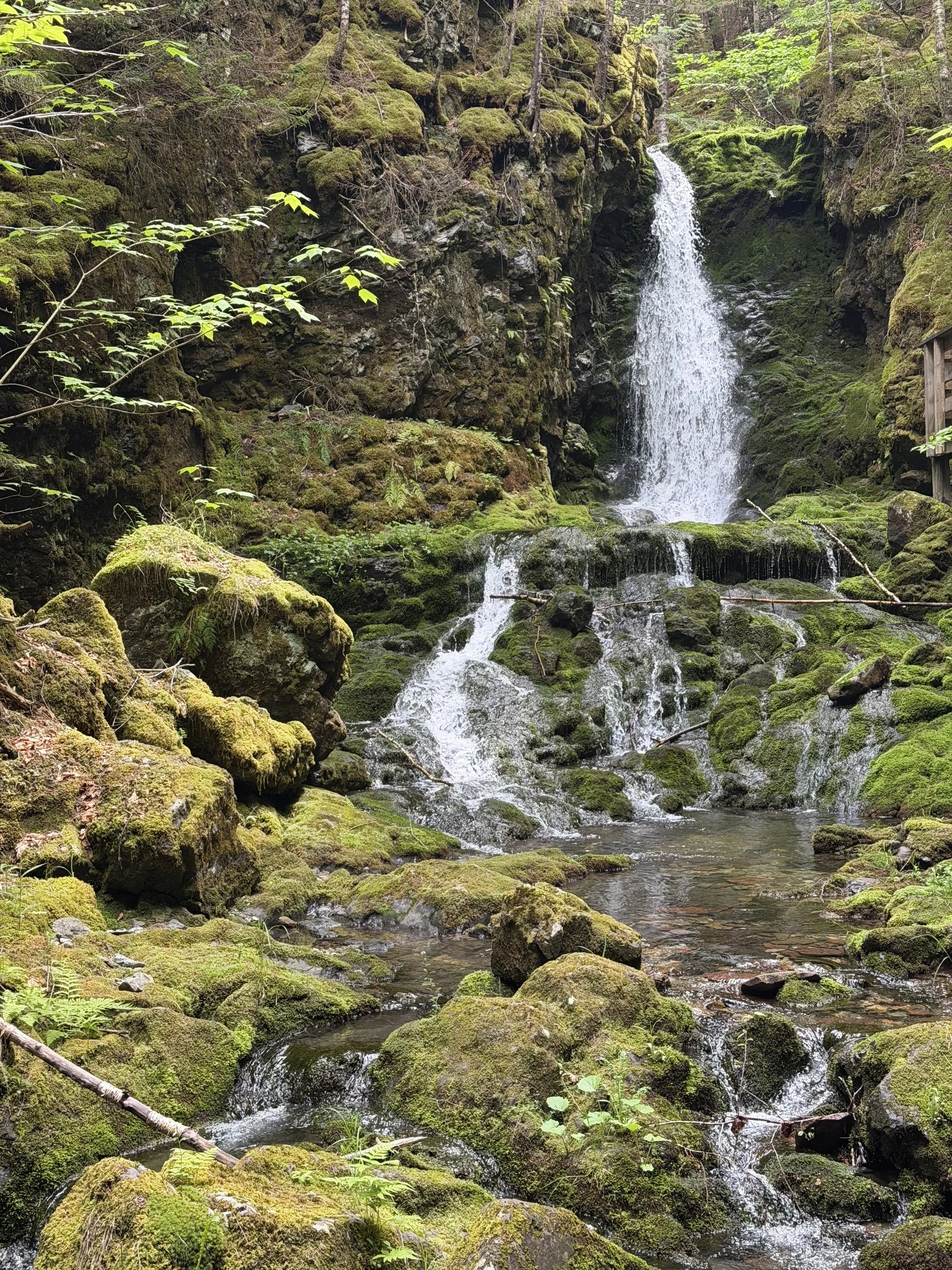 Dickson Falls