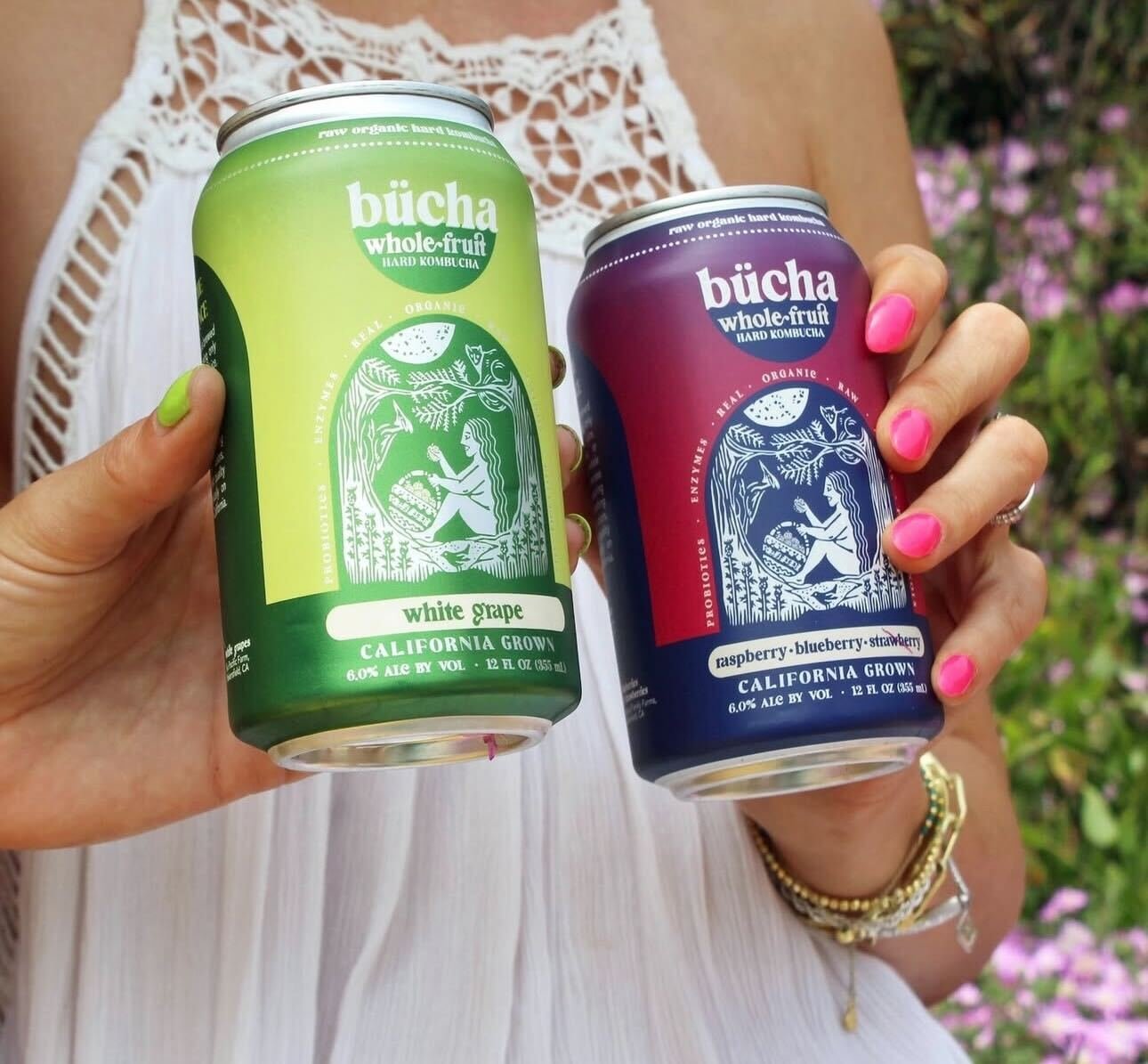 Bücha Whole Fruit Hard Kombucha