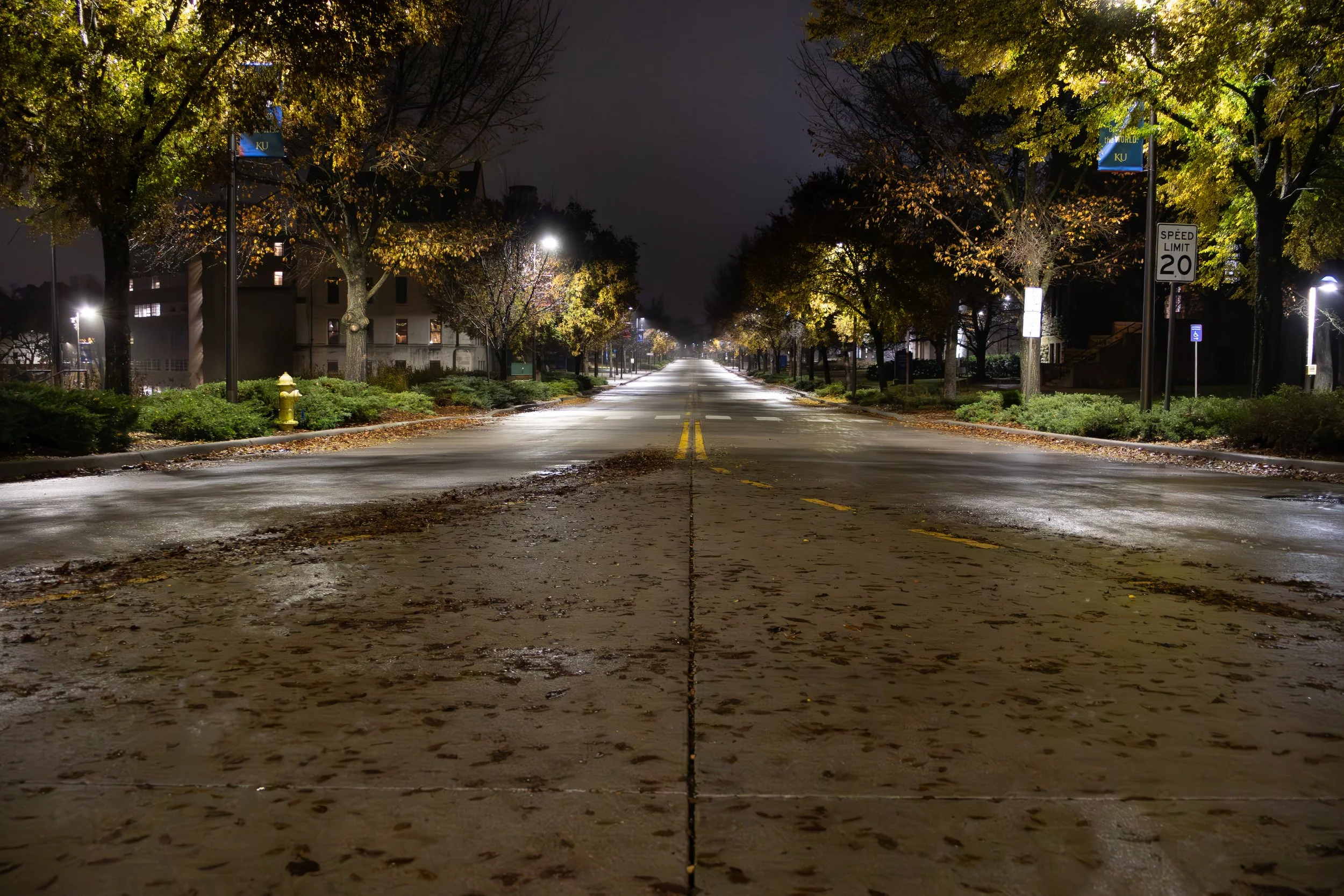Empty city street at night with wet pavement, illuminated by streetlights, lined with trees and buildings, some with lights on, and a visible speed limit sign of 20 mph.