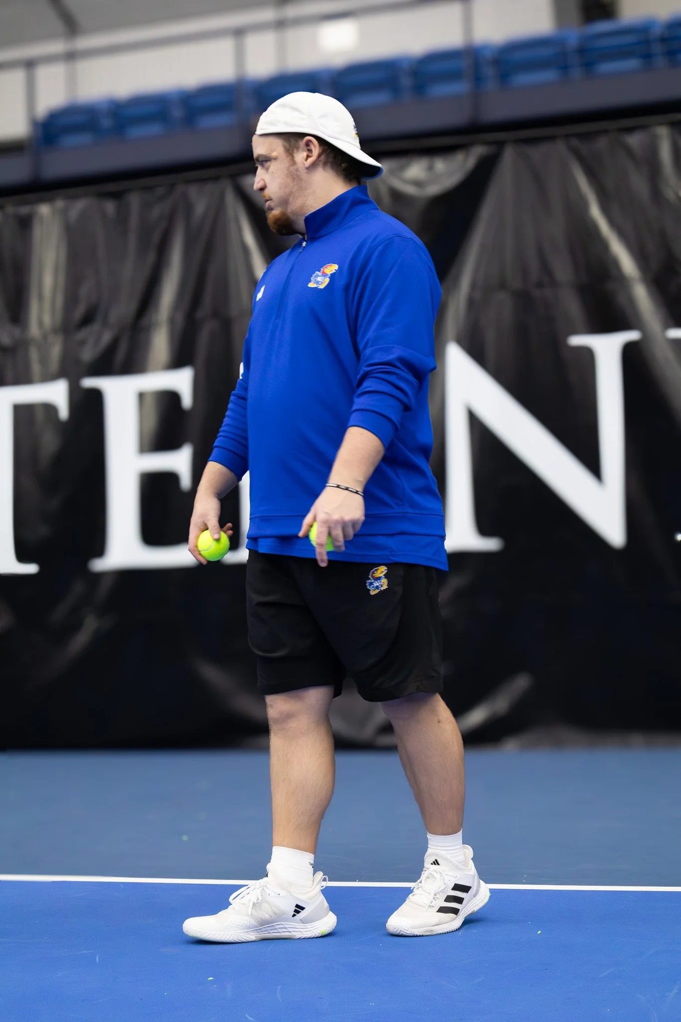A male tennis player holding tennis balls on a blue indoor tennis court, wearing a white cap backward, blue jacket, black shorts, white sneakers, and wearing a wristbands.