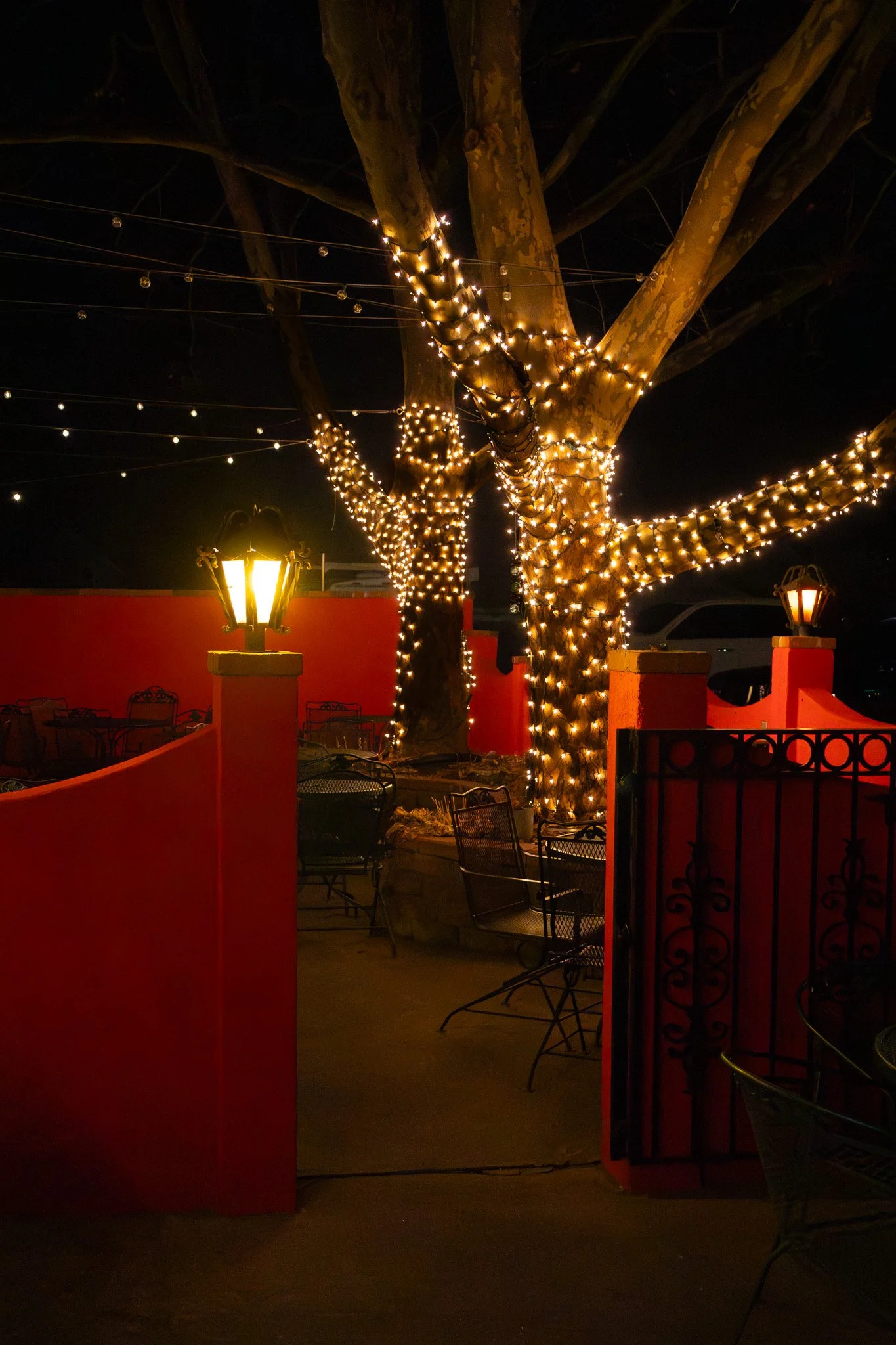 Nighttime outdoor patio with a large tree wrapped in string lights, surrounded by a black wrought iron fence, with red walls and seating area.
