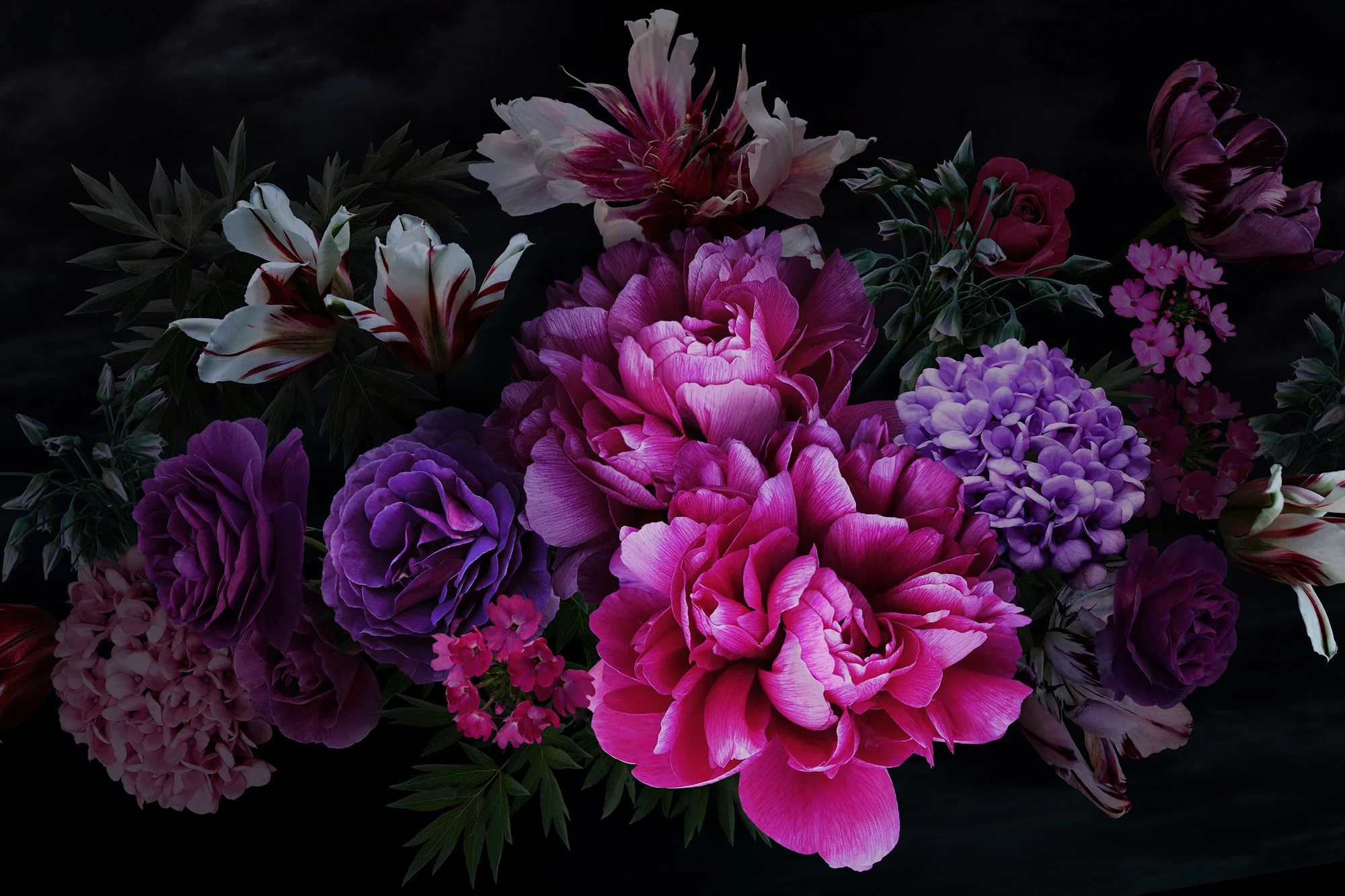 Preconception Into Deck