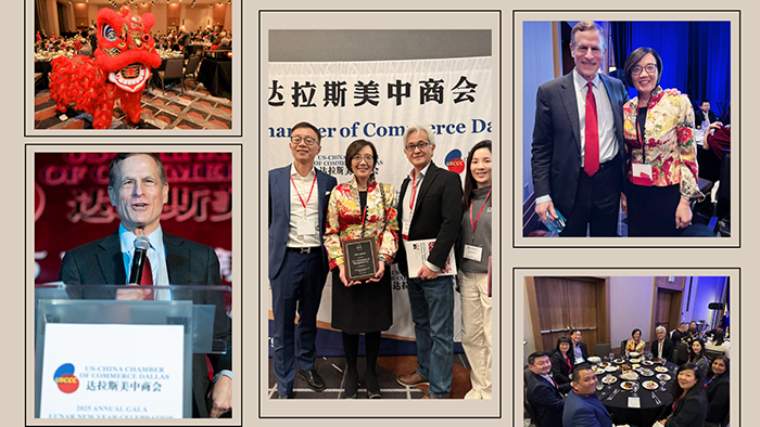 CLI Newsletter Feb.2025