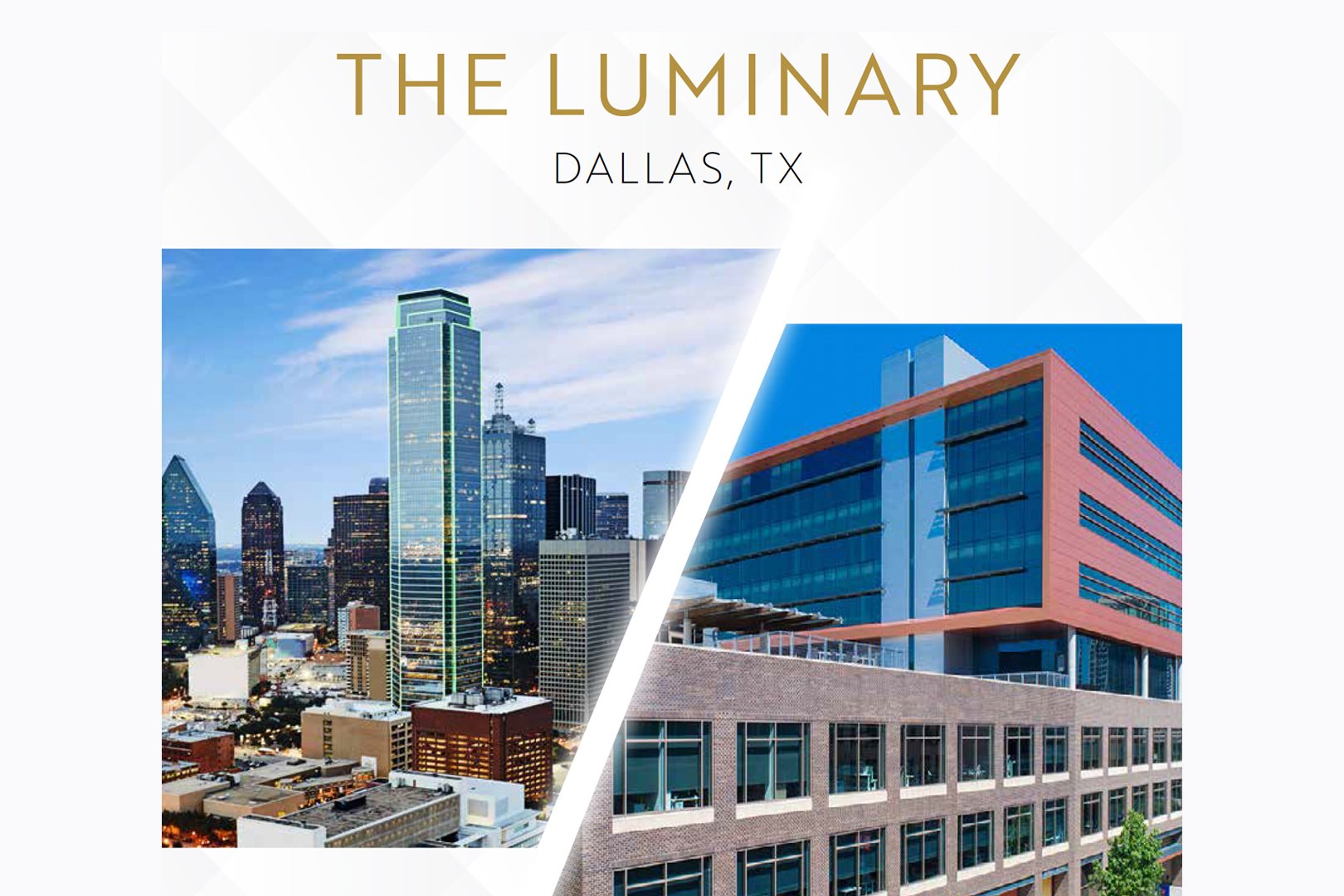 Texas commercial investment project