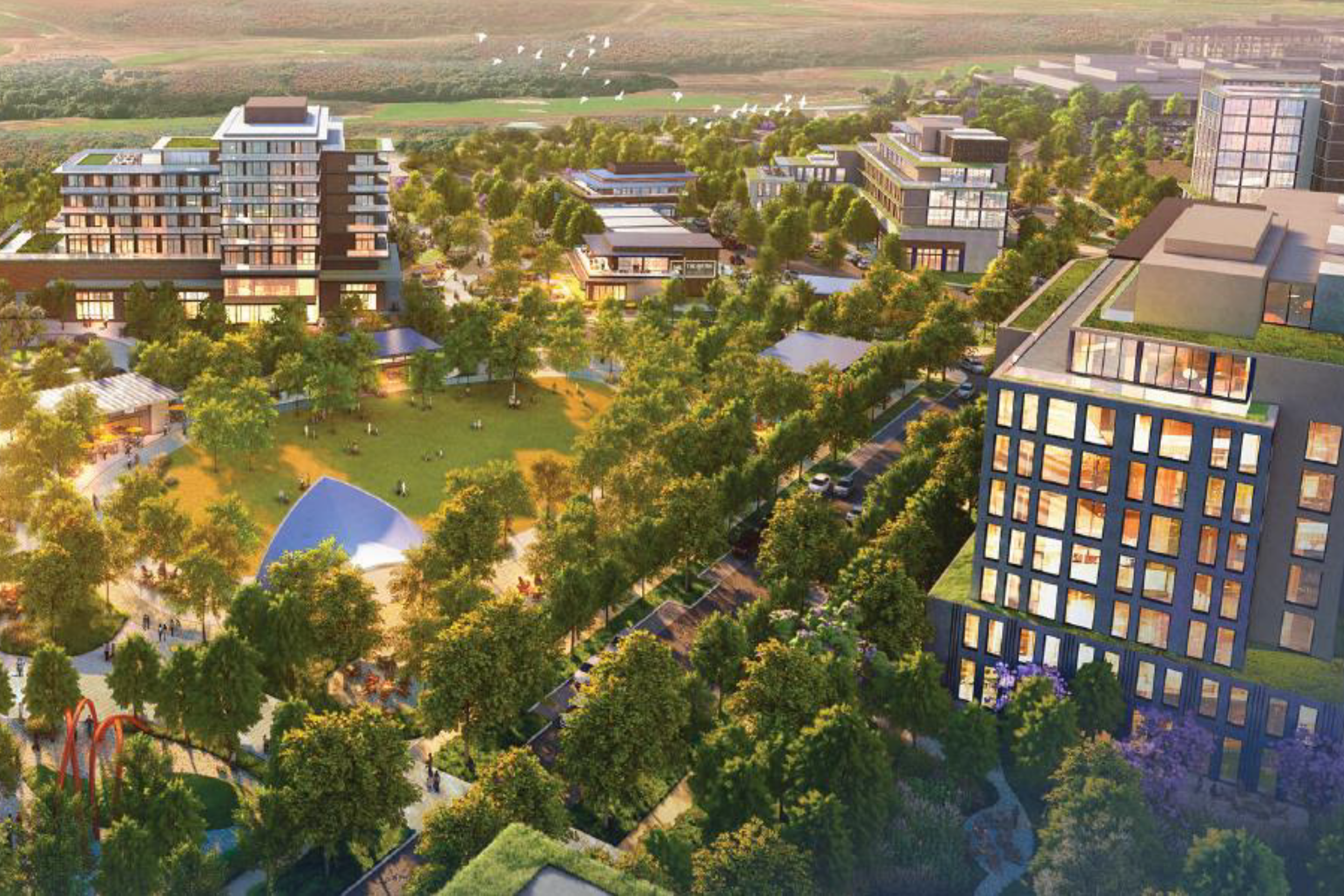 Texas commercial investment project