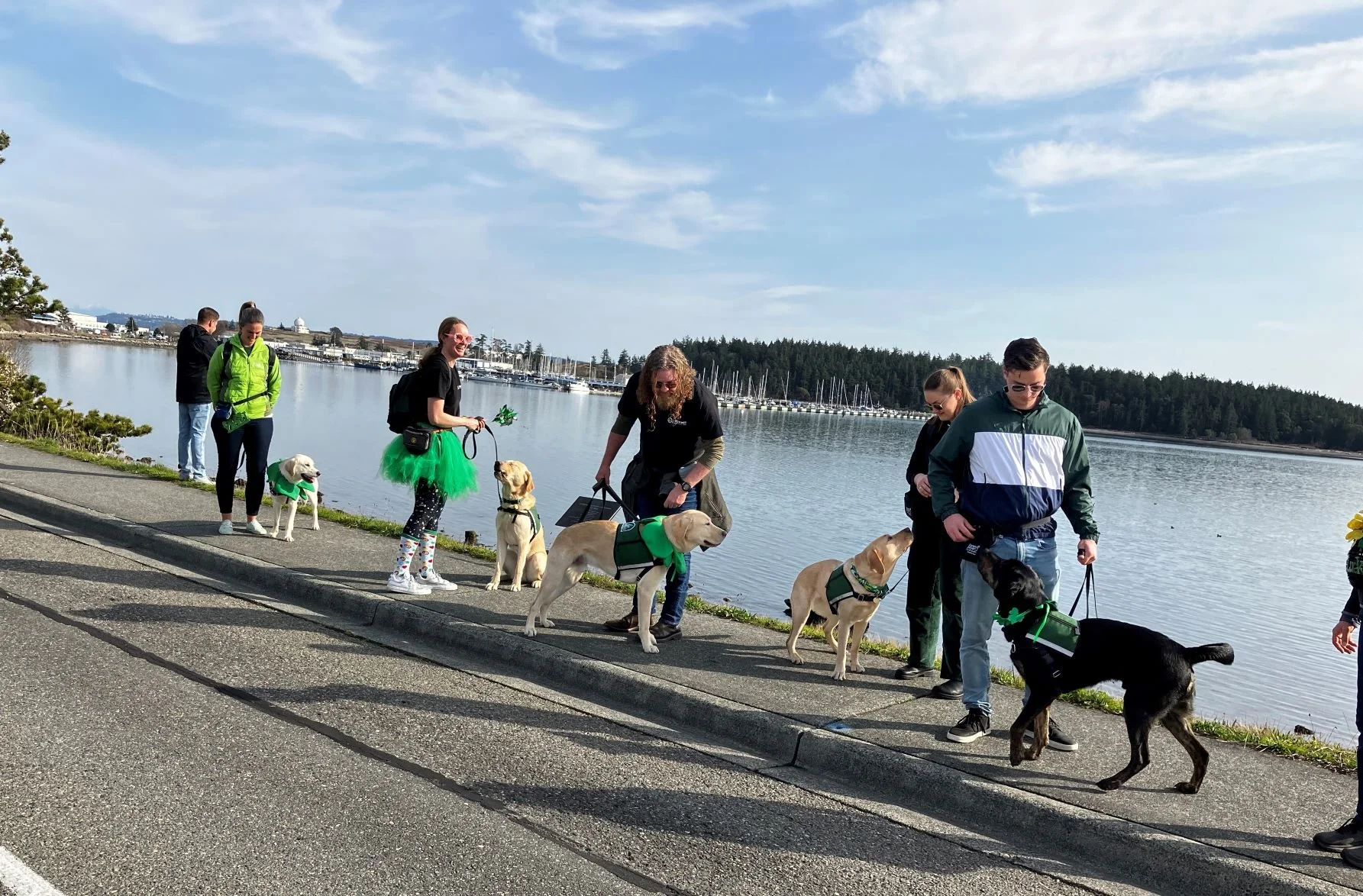 St Patrick Day parade(Janice).jpeg