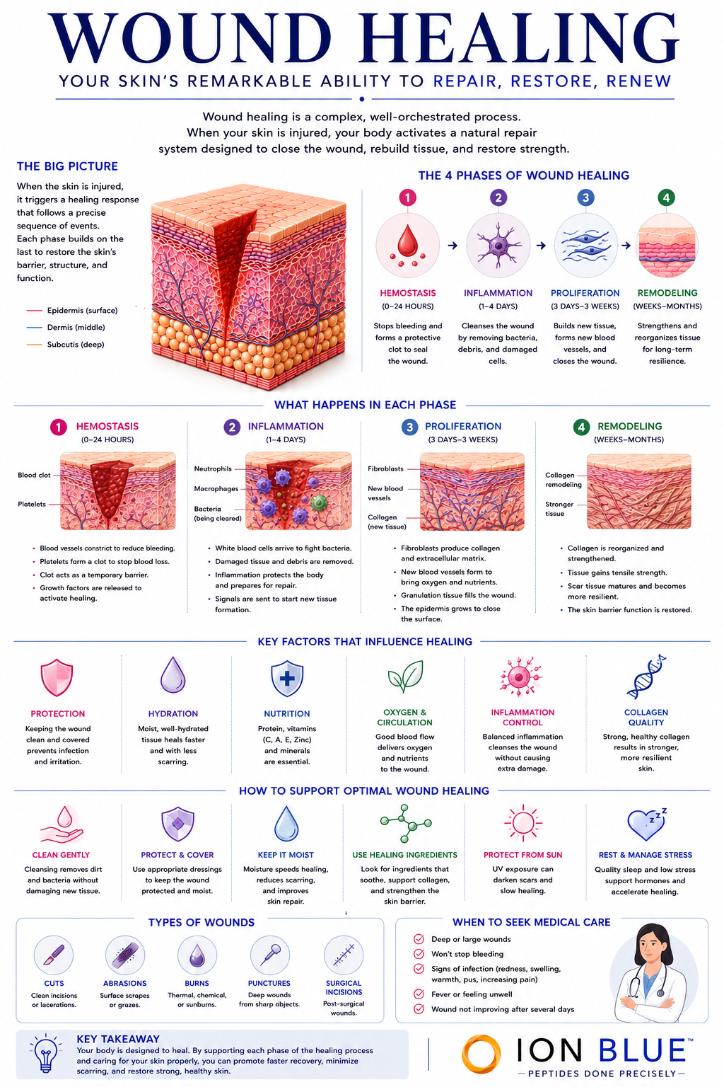 Wound healing infographic illustrating the stages of skin repair, tissue regeneration, fibroblast activity, collagen remodeling, extracellular matrix restoration, and skin recovery biology.