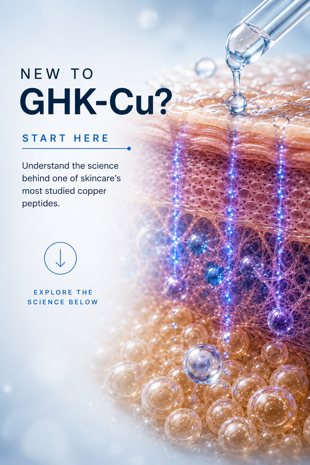 GHK-Cu copper peptide illustrated penetrating skin layers and supporting dermis-level cellular signaling in skin biology