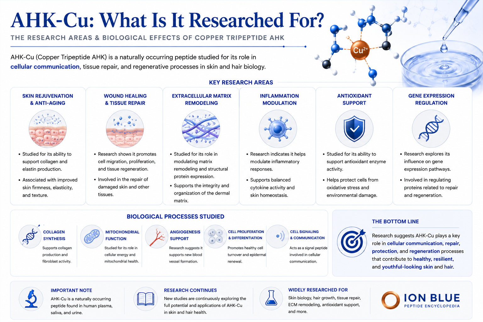Infographic about research on copper tripeptide AHK (AHK-Cu), including key areas such as skin rejuvenation, wound healing, extracellular matrix remodeling, inflammation modulation, antioxidant support, and gene expression regulation, with illustrations of molecular structures and processes.